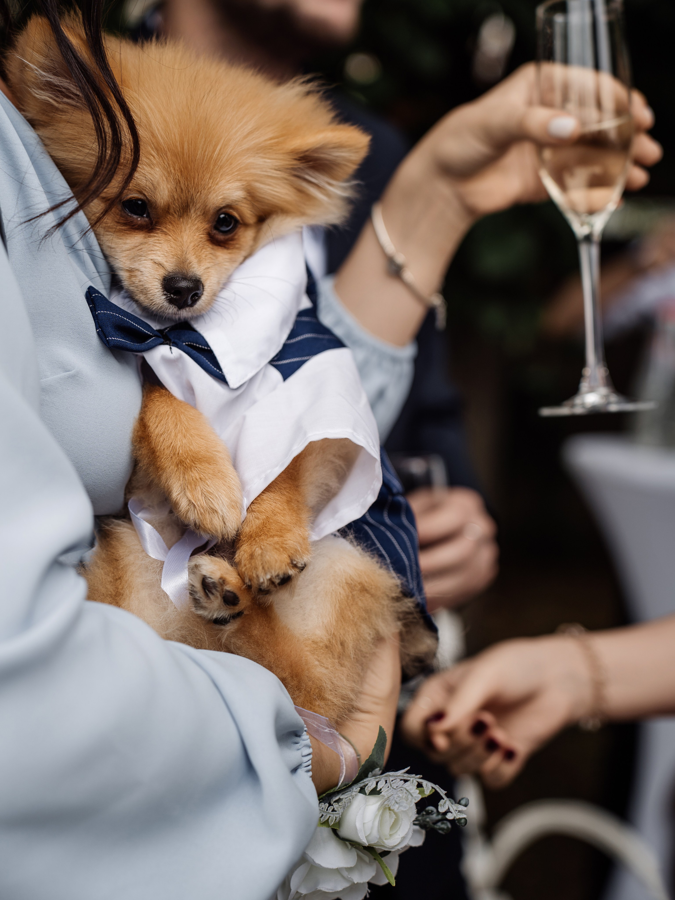 Свадебный фотограф и видеограф в Тольятти, Самаре и Москве — Арзу Магеррамов
