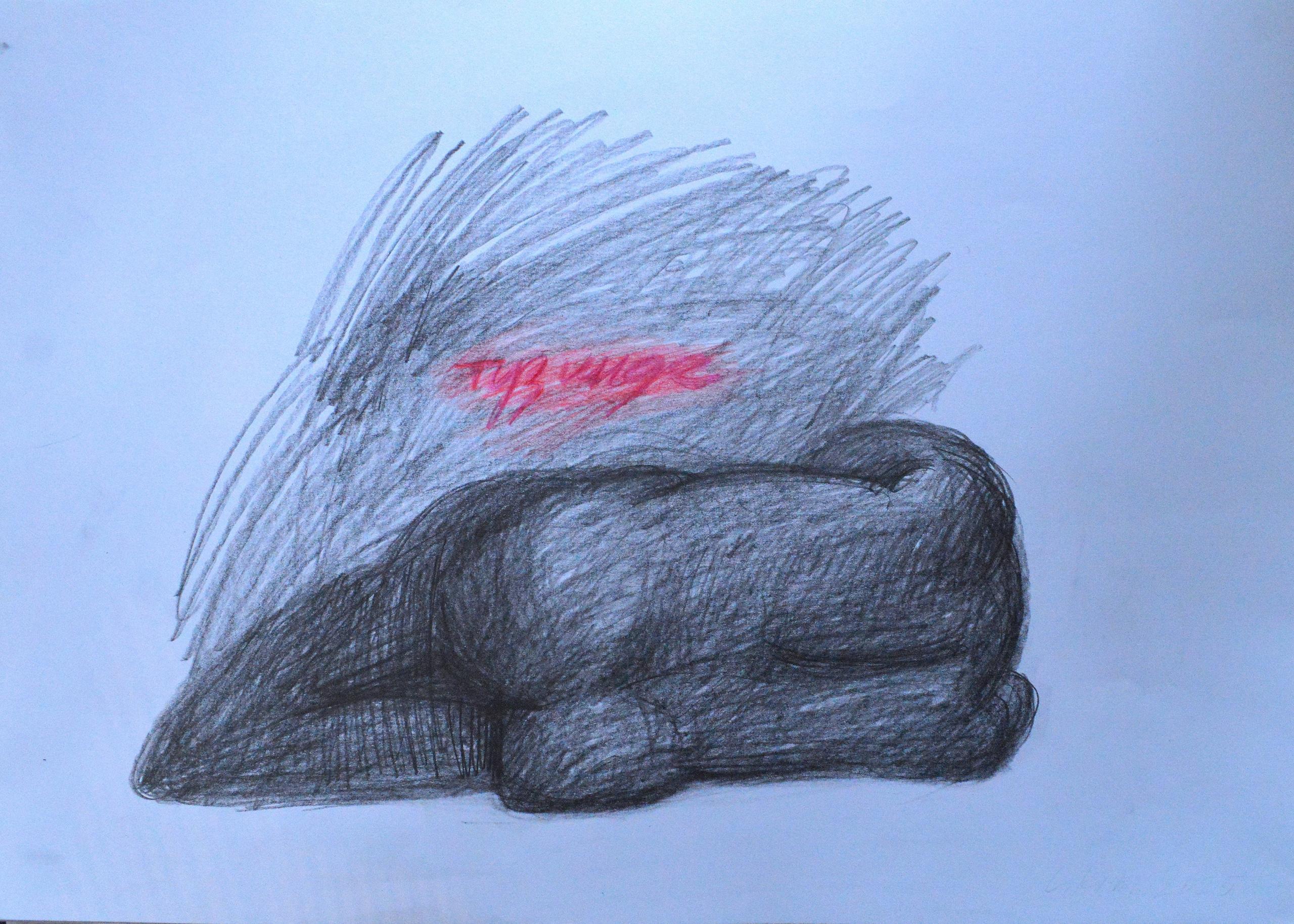 Серия «Туз инде. Тырыш инде.» 2025. Лилия Ким. Междисциплинарный художник