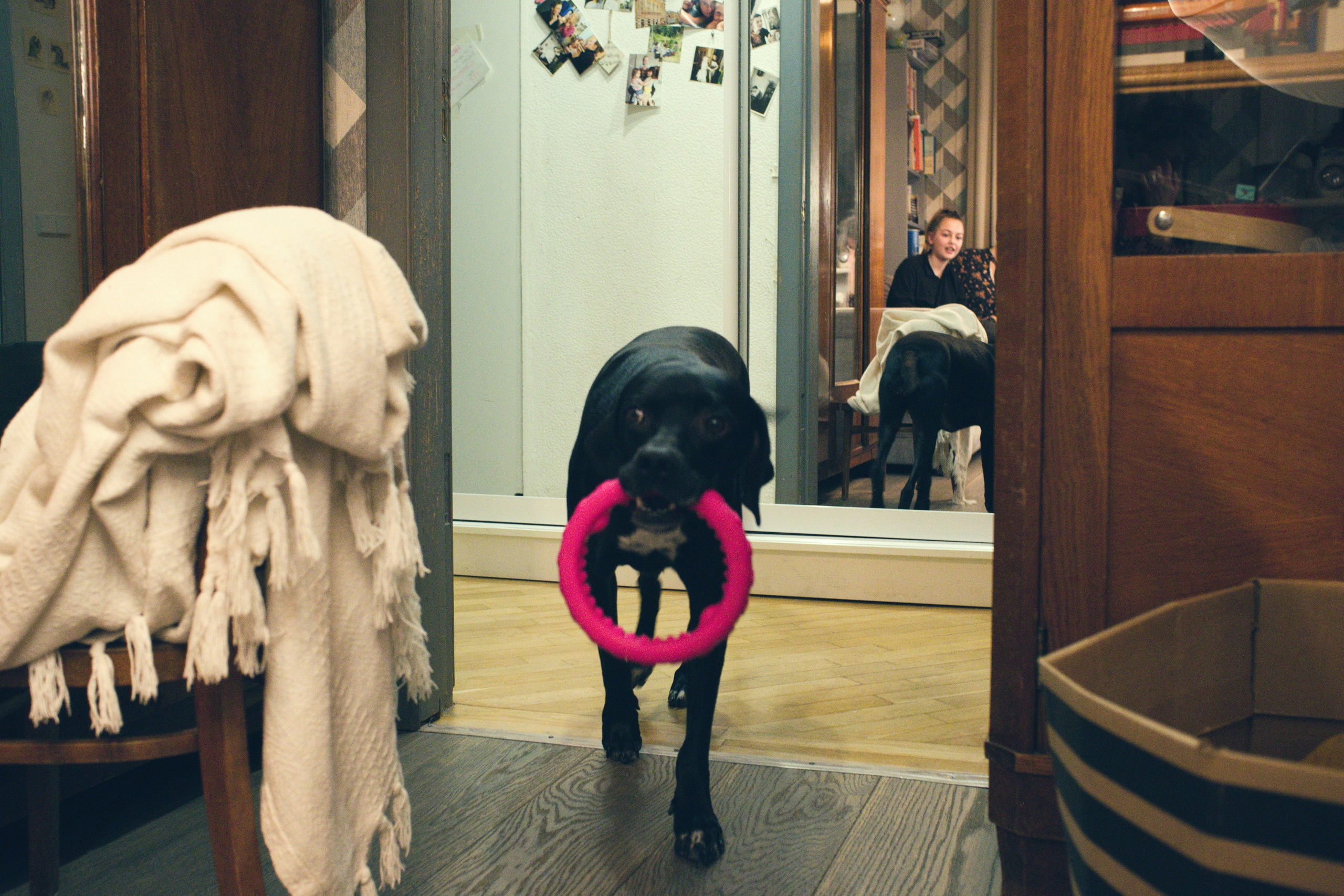 Чина и её люди. Дмитрий Бречалов