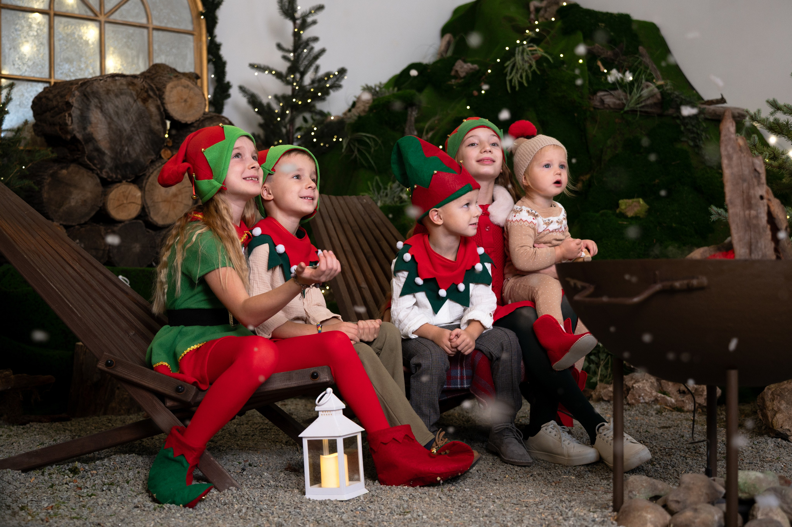 Гномики. Главная