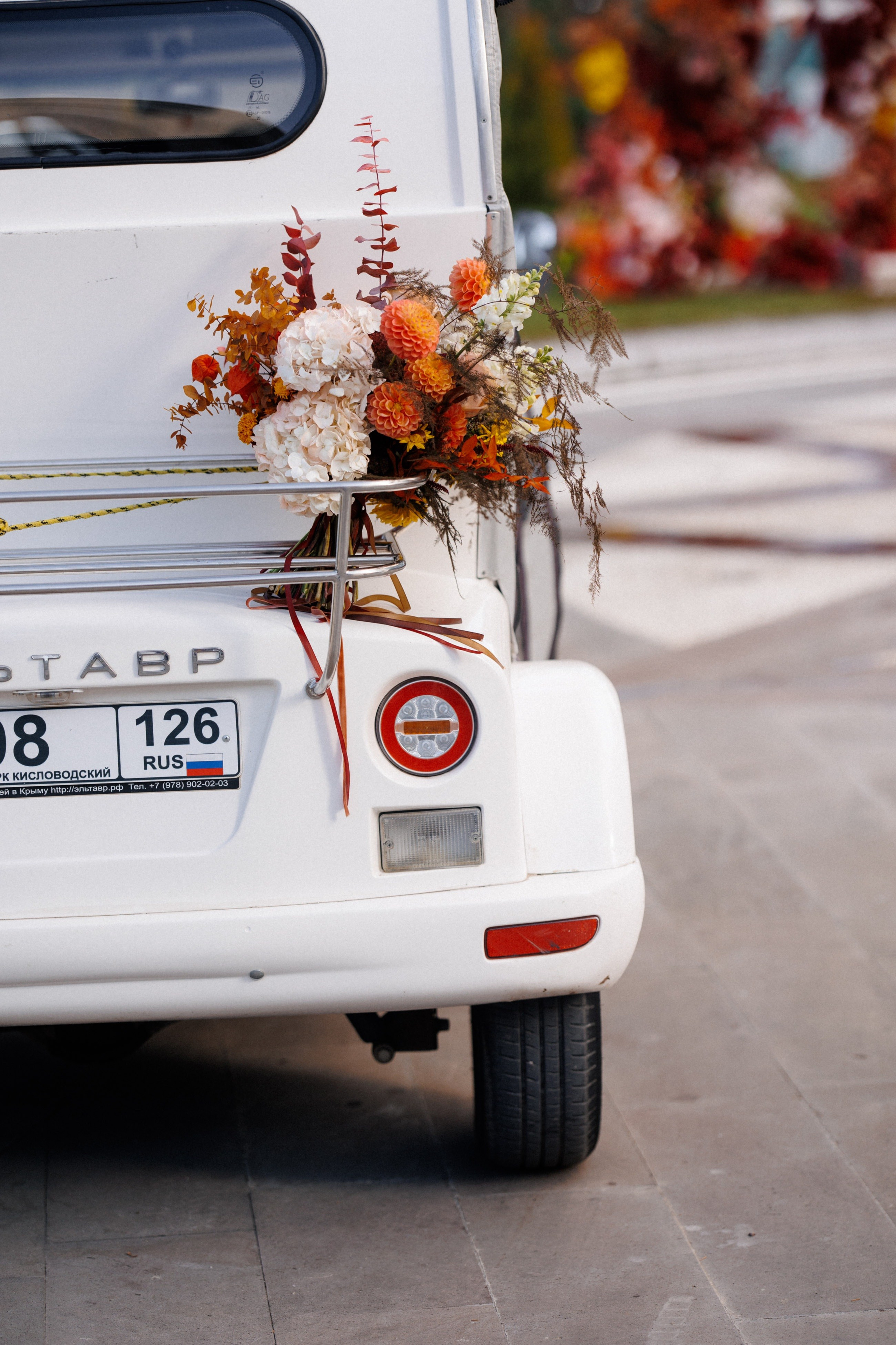 Предложение РУКИ и СЕРДЦА в курортном парке Кисловодска. Ланшафт и архитектура невероятно красивой локации и эмоции влюбленных. Организация мероприятий ЮФО