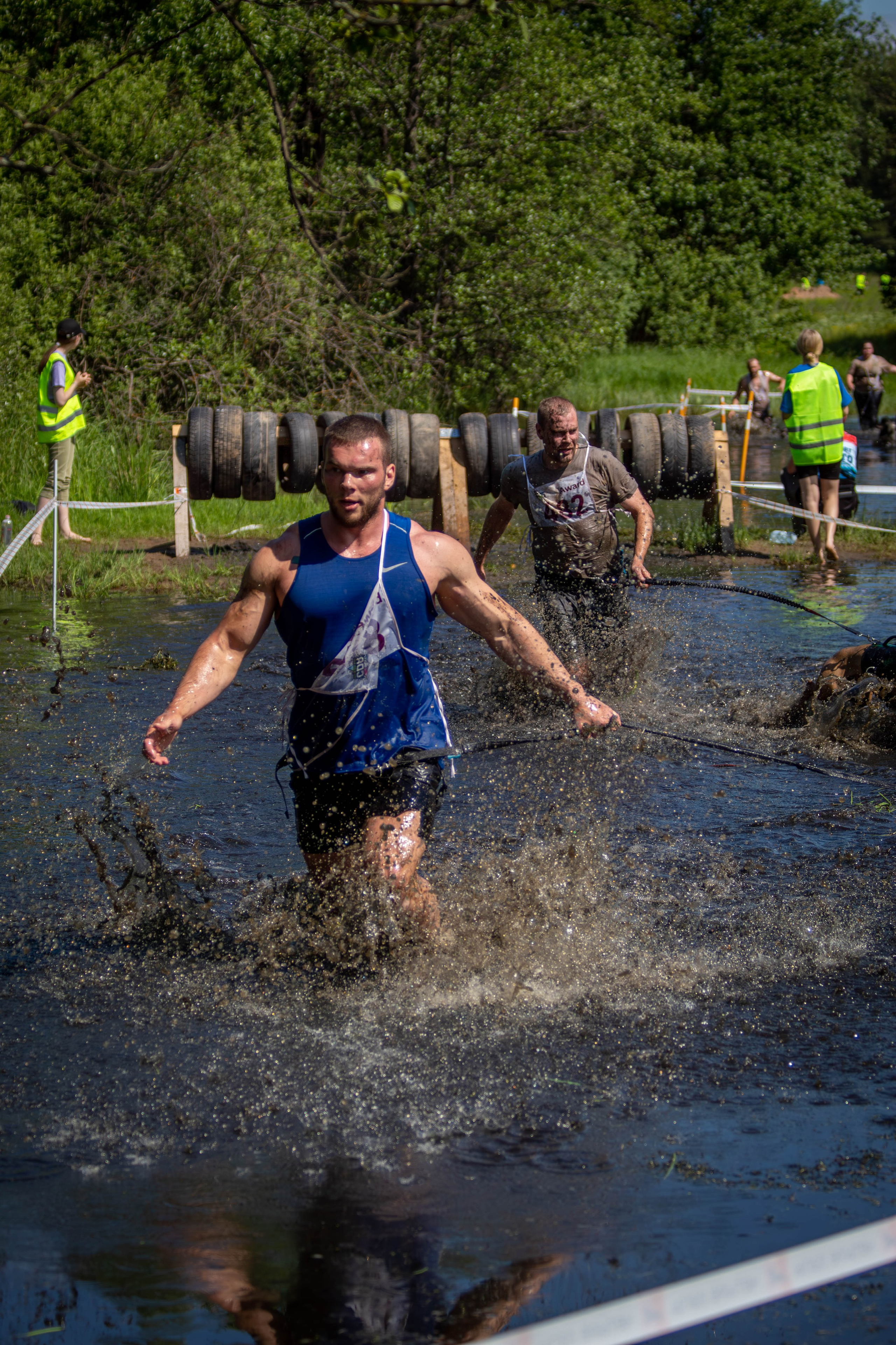 Хвостатый Драйв 2024. Фотограф анималист — Тула, Москва