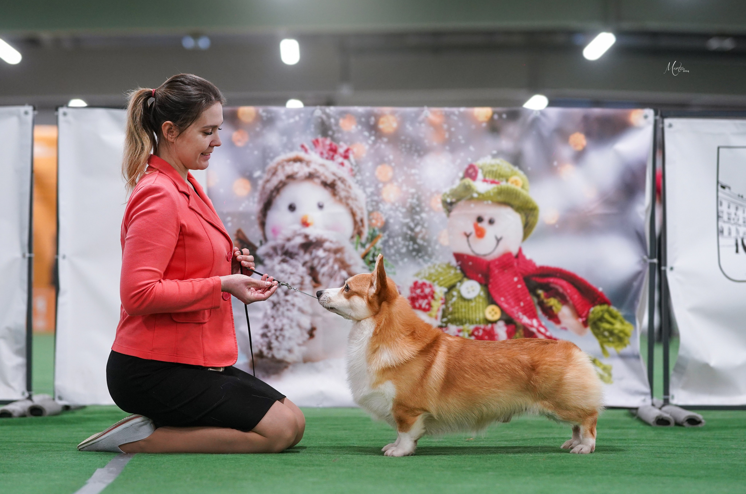 Выставки 2024. Фотограф-анималист в Санкт-Петербурге Яна Мартынова