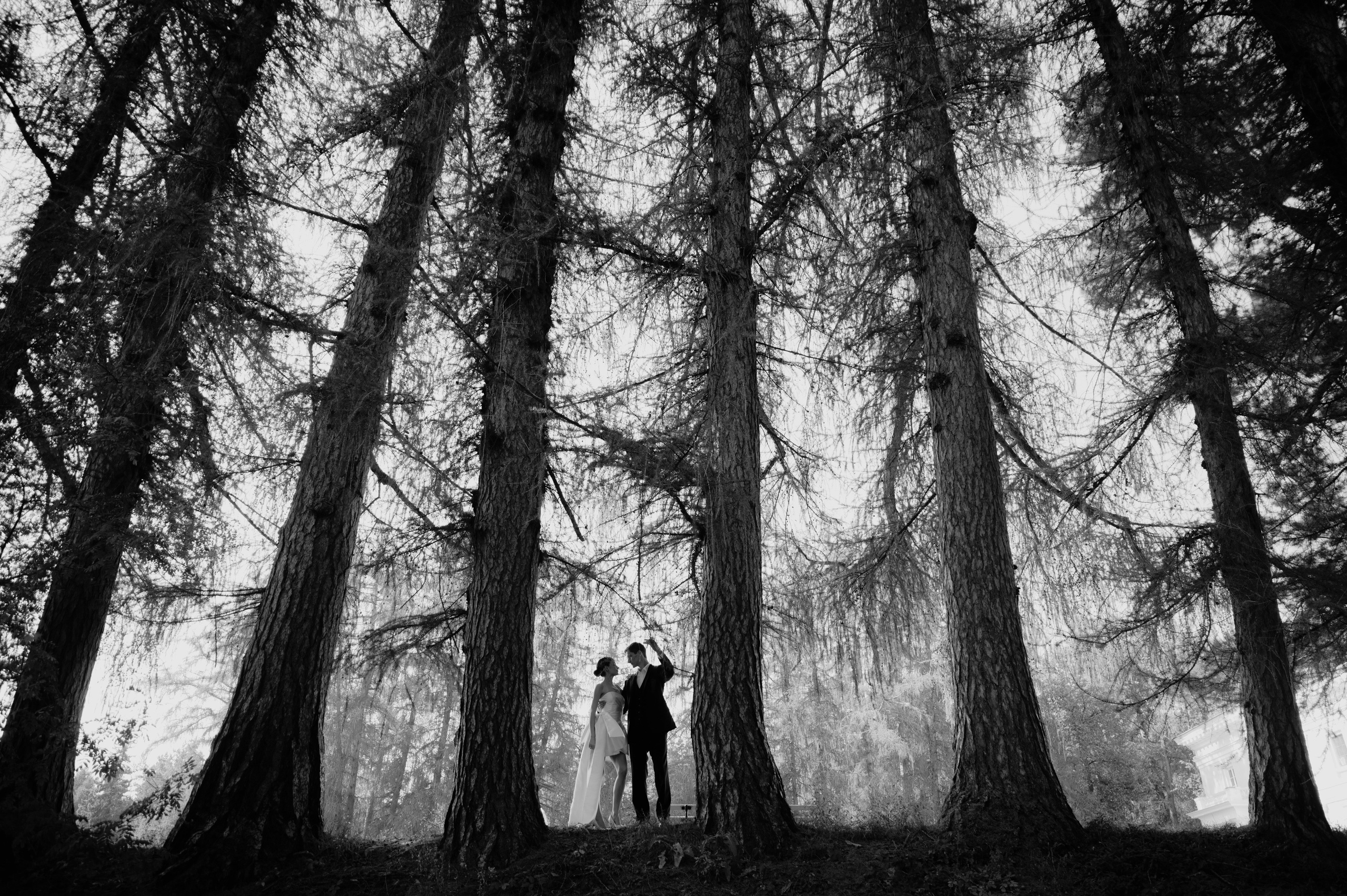 Алёна и Александр. Свадебный и портретный фотограф в Москве Жердев Даниил