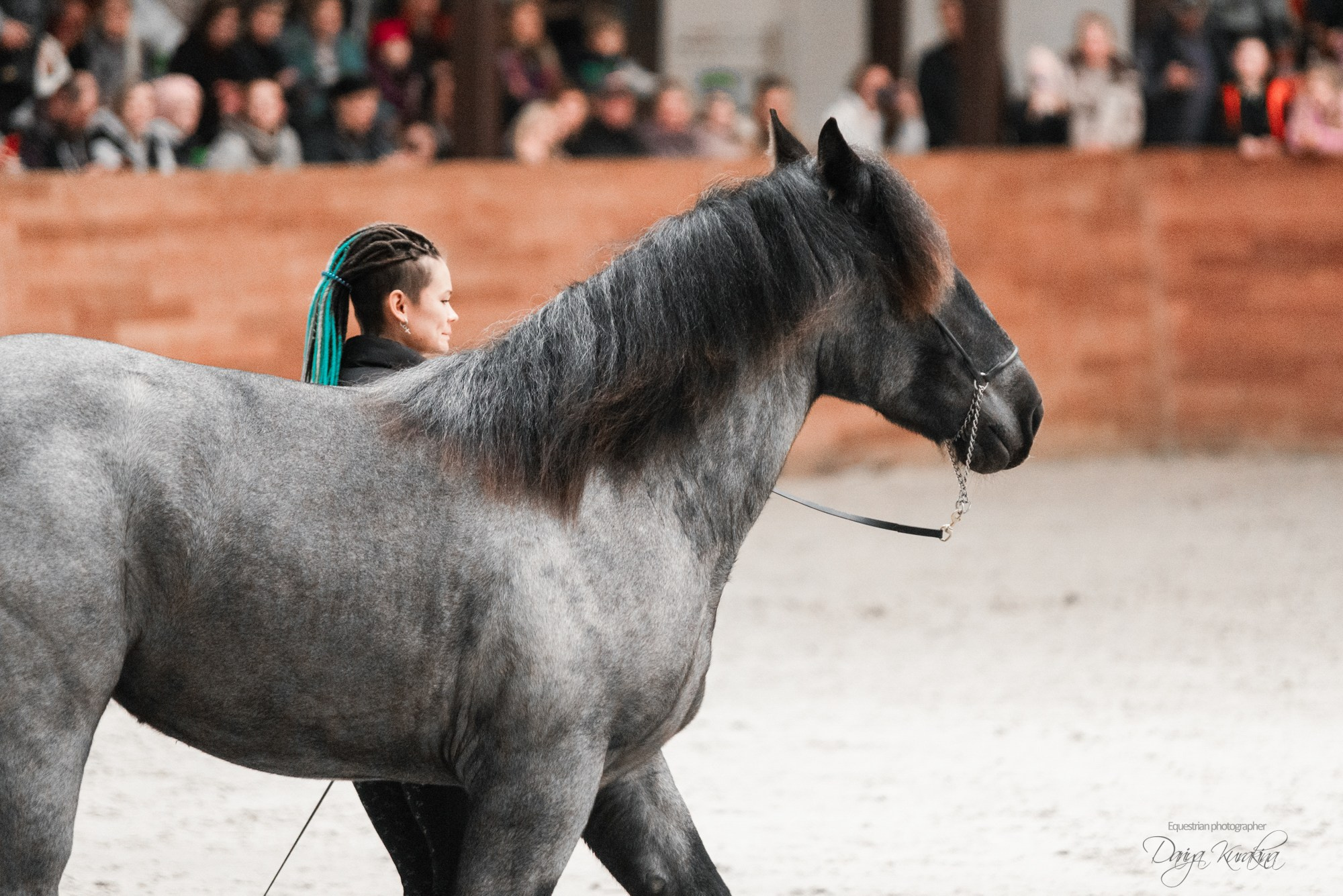 8-я международная выставка Конная Россия. Конный фотограф Куракина Дарья • Фотосессии с лошадьми