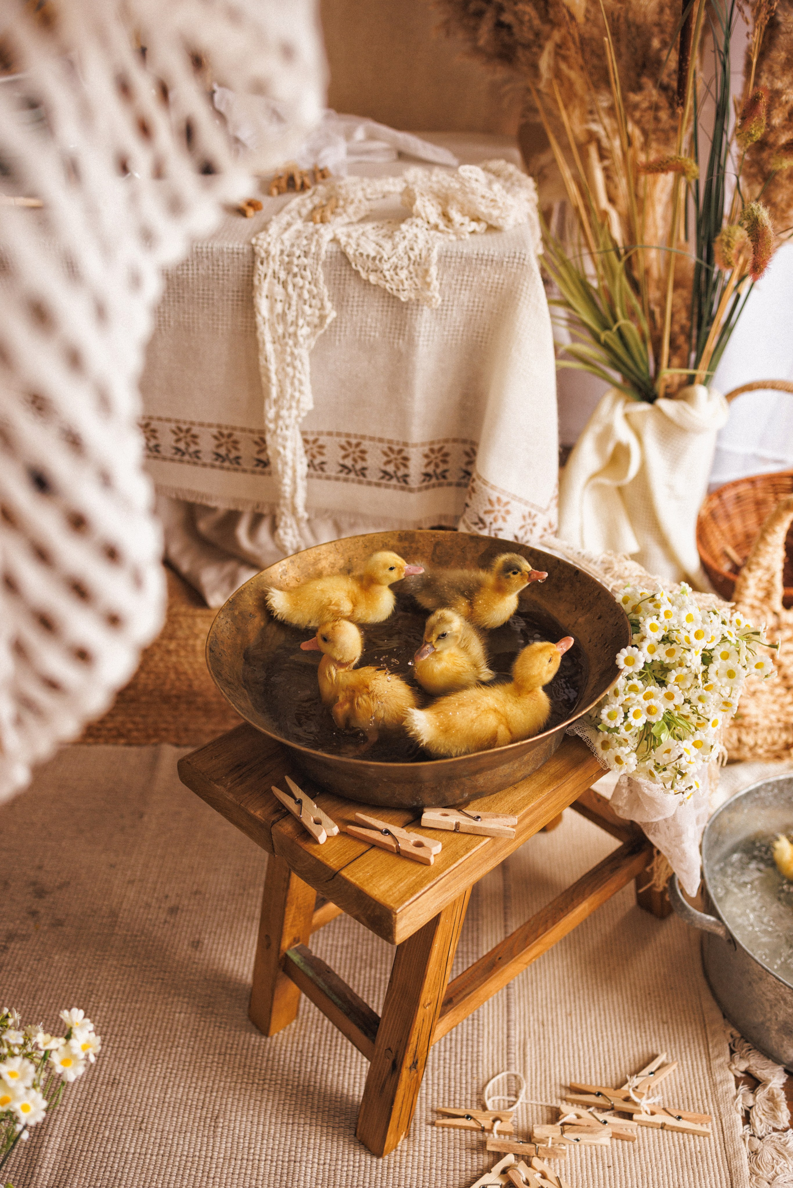 Фотосессия «СТИРКА» в фотостудии Mestone, Краснодар. Семейный и детский фотограф в Краснодаре Анна Трашкова