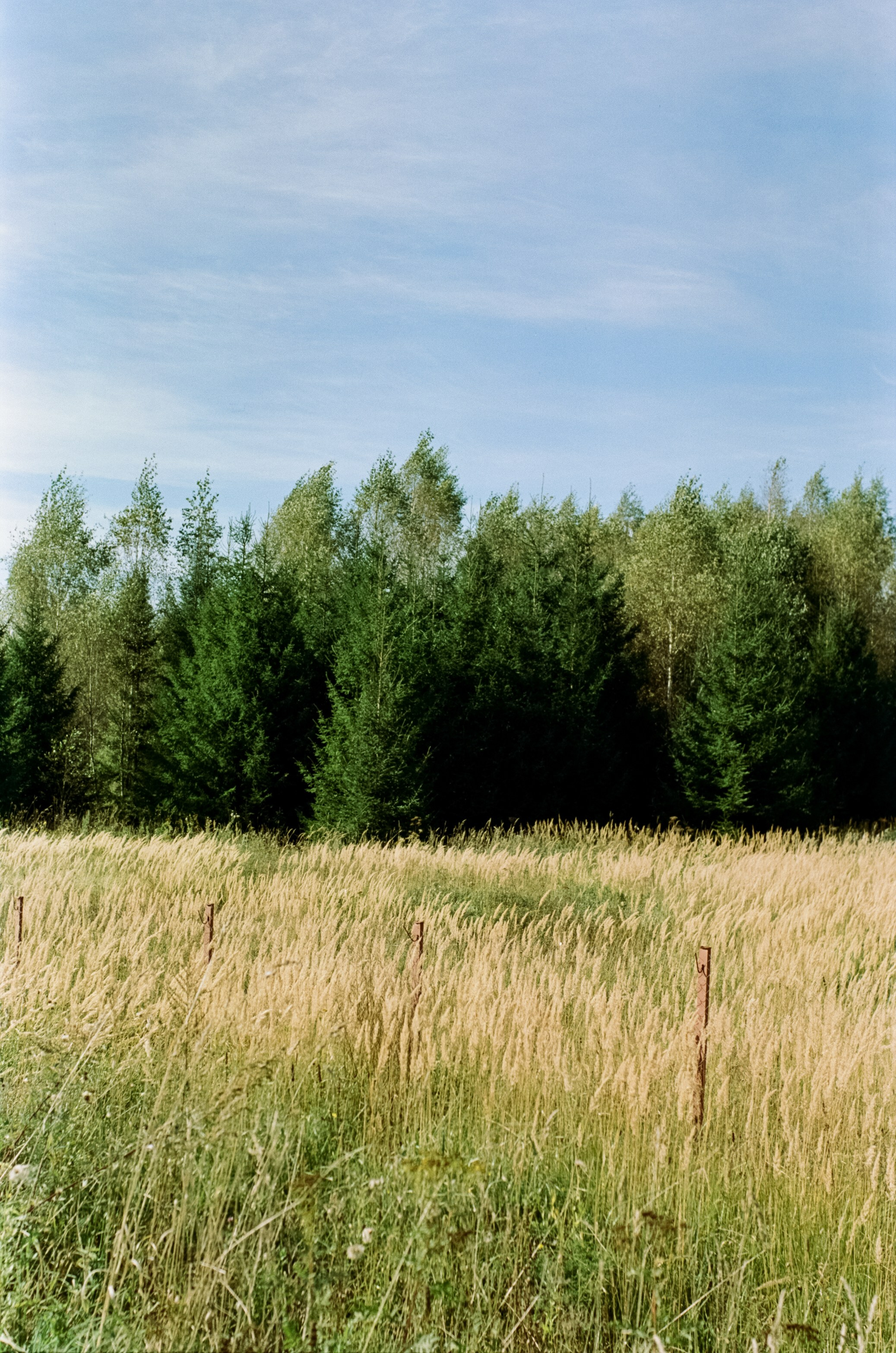 Mamiya 645 PRO обзор и примеры фотографий