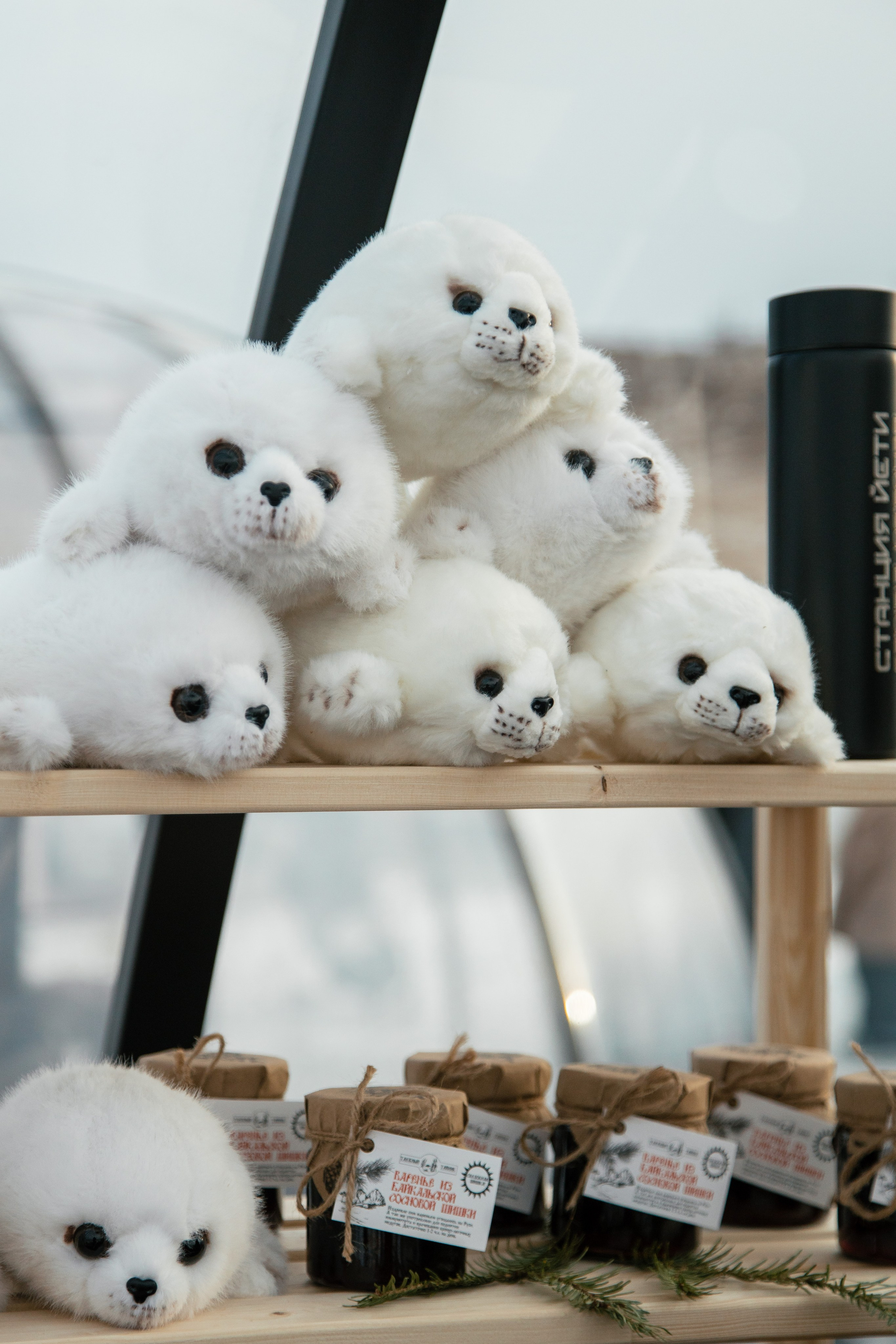 Открытие Станции Йети. Фотограф Анна Чернигова