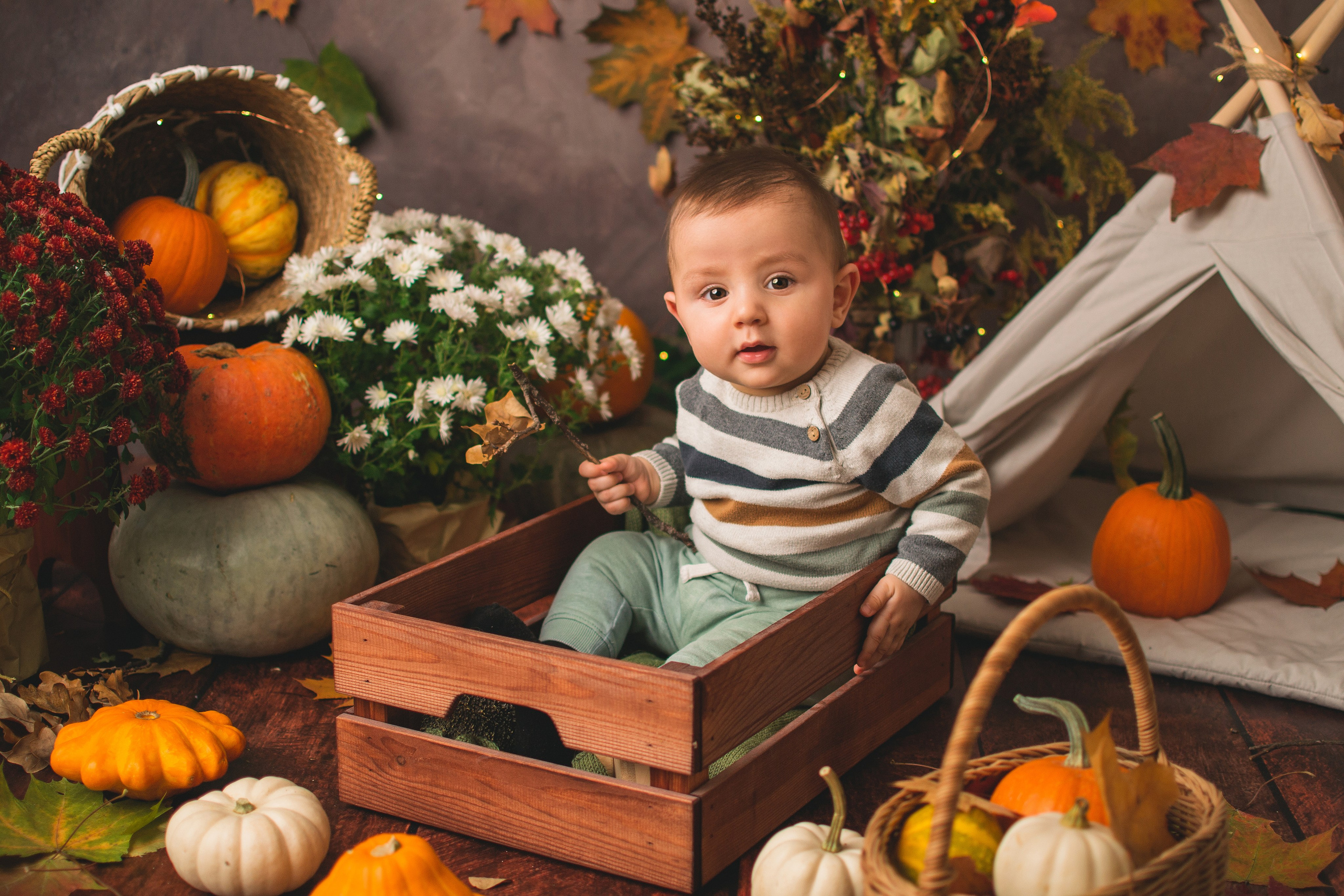 Фотопроекты. Фотограф новорождённых в Санкт-Петербурге Наталья Булгакова