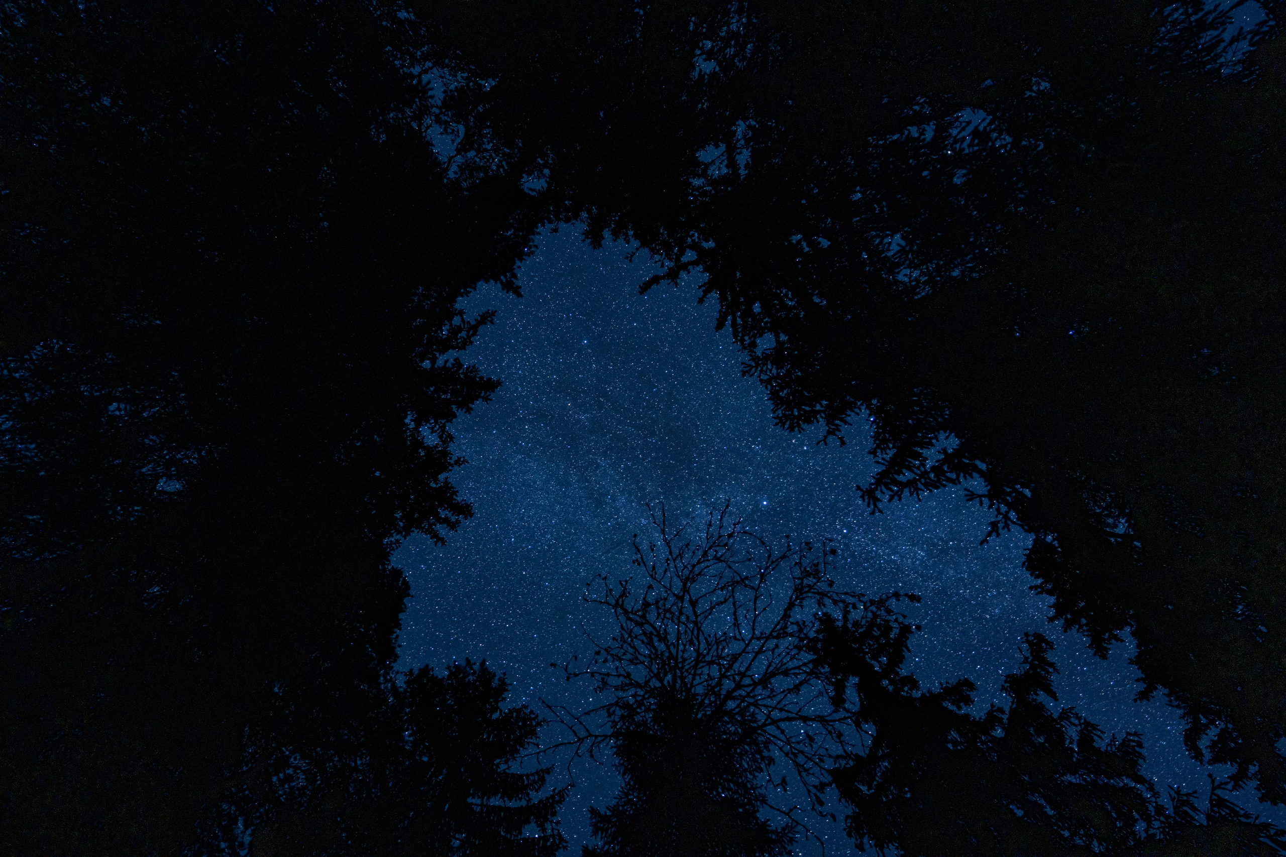 СЕВЕР. Event фотограф Степанова Александра