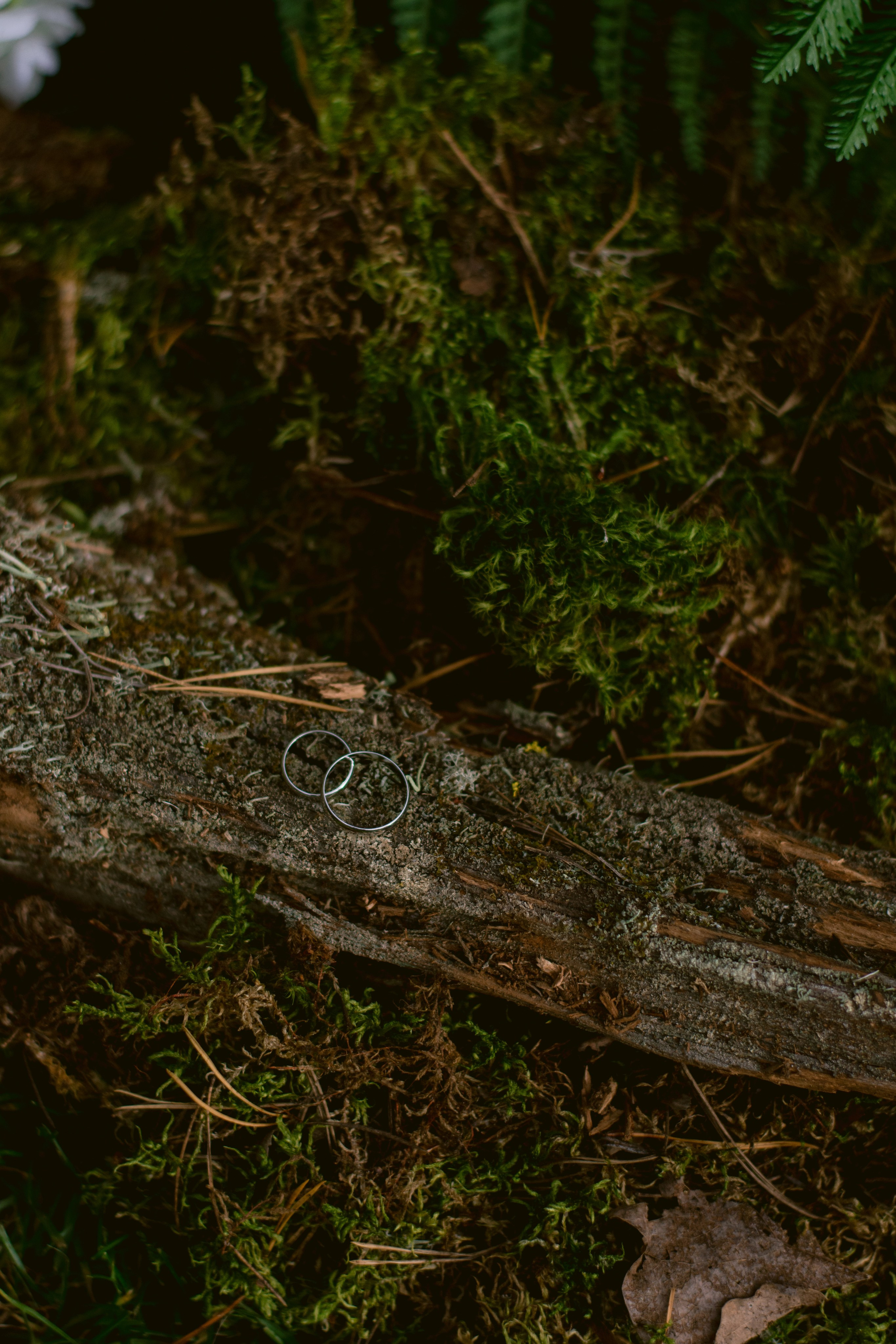 Осень, свадьба, любовь. Свадебный фотограф Ижевск/Сарапул Анастасия Бель