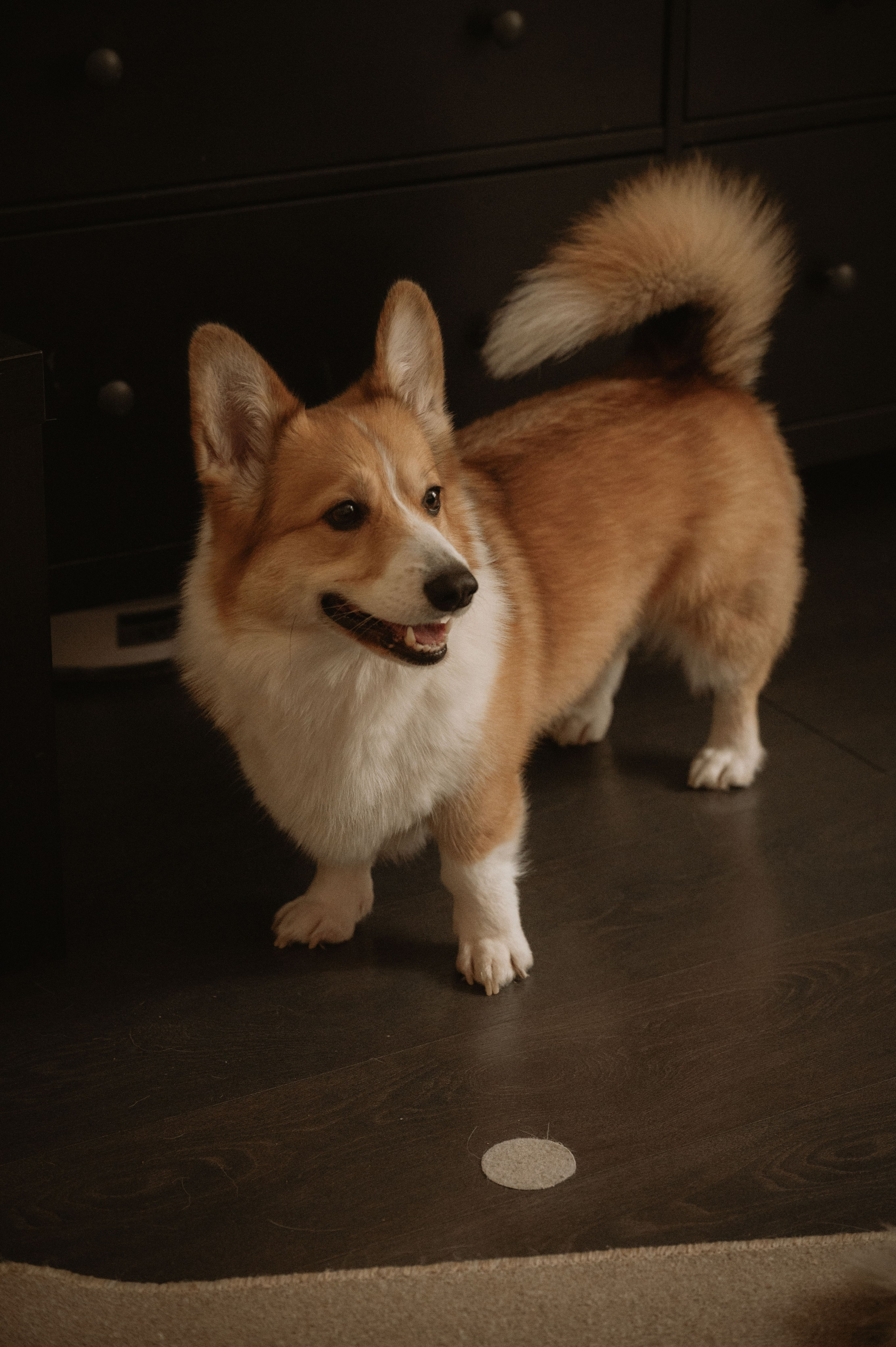 Лизавета, Никита и Мирослава. Фотограф беременности и семьи, домашние съемки, Ньюборн