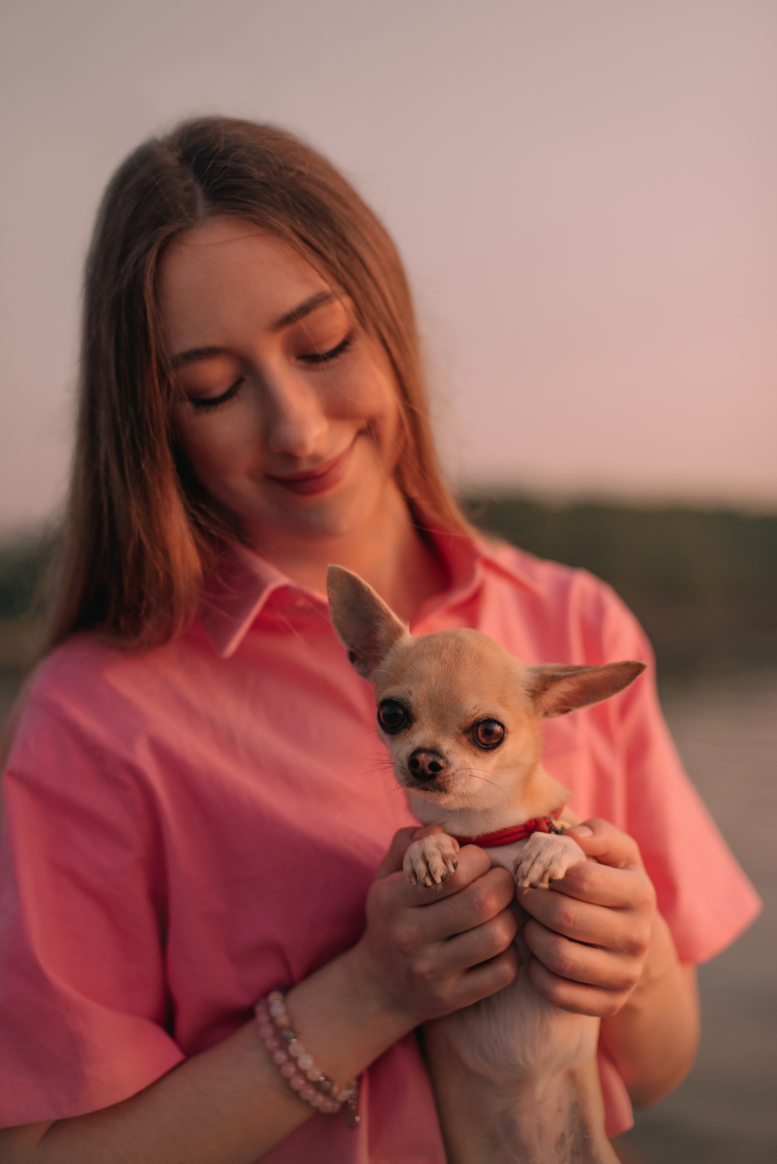 Прогулка: чихуахуа Хенни и Алина во Владивостоке. Портфолио