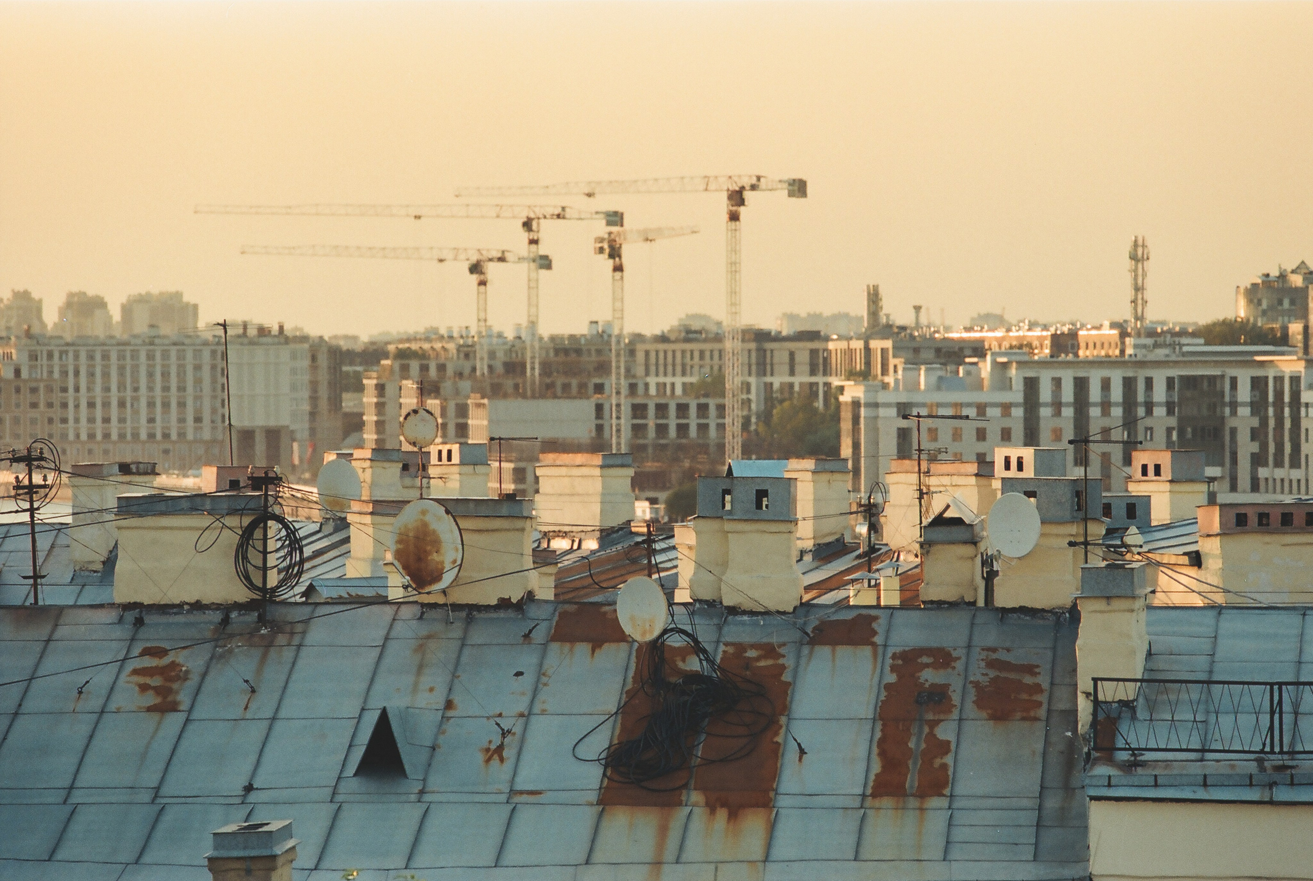 Фотографии цветные. Свадебный и семейный пленочный фотограф в Петербурге Истомина Ирина