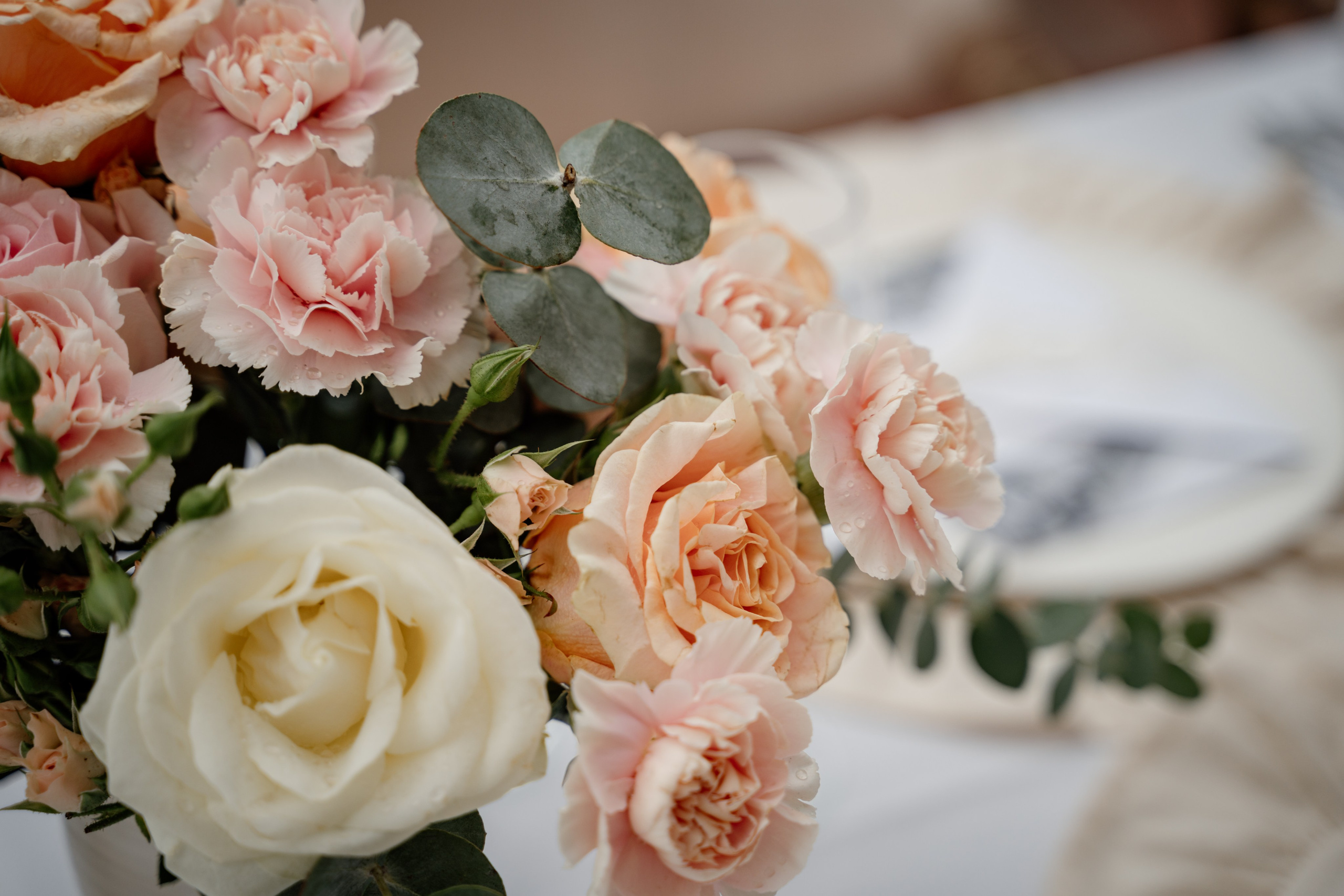 Perast Wedding Photographer – Capturing Love in Every Detail. Photographer in Montenegro | Фотограф в Черногории