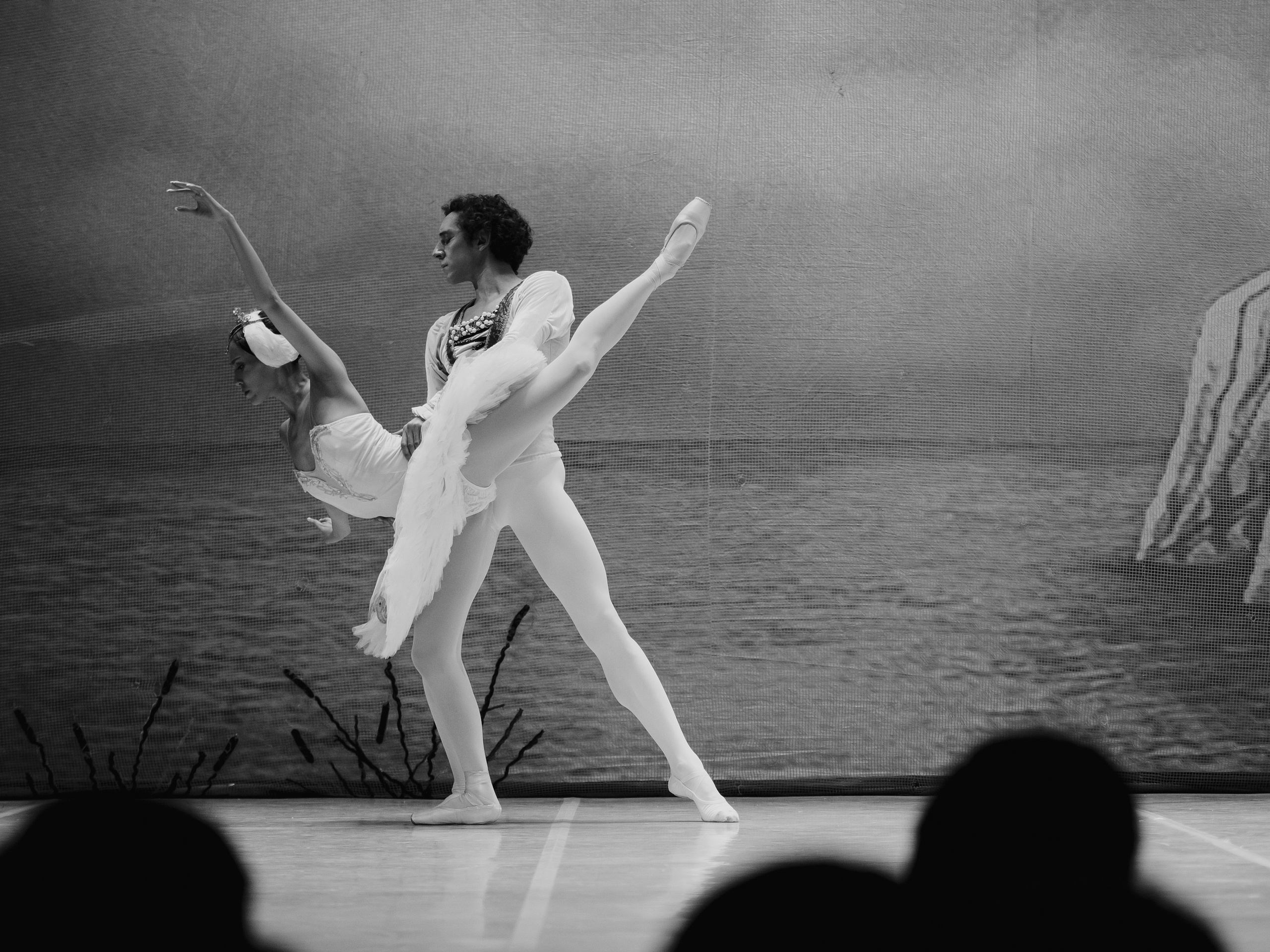 Балет «Лебединое озеро». Маруся Машкова • Фотограф в Москве