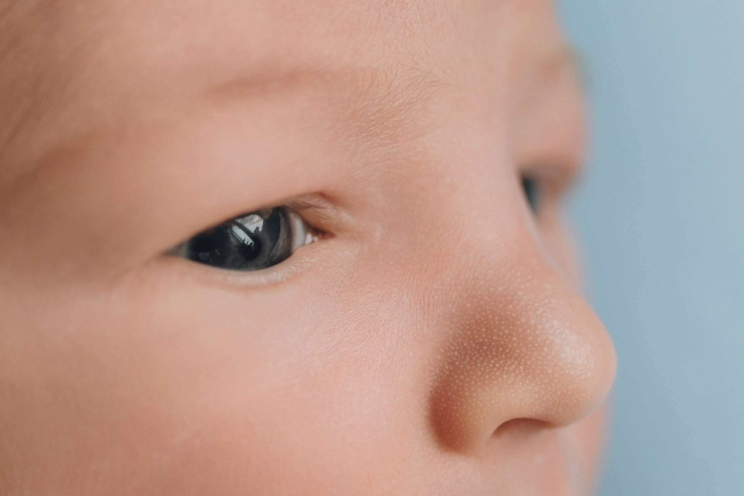 Alex. Natalia Finch Photography — Family, Kids & Pet Photographer in Chicago, IL