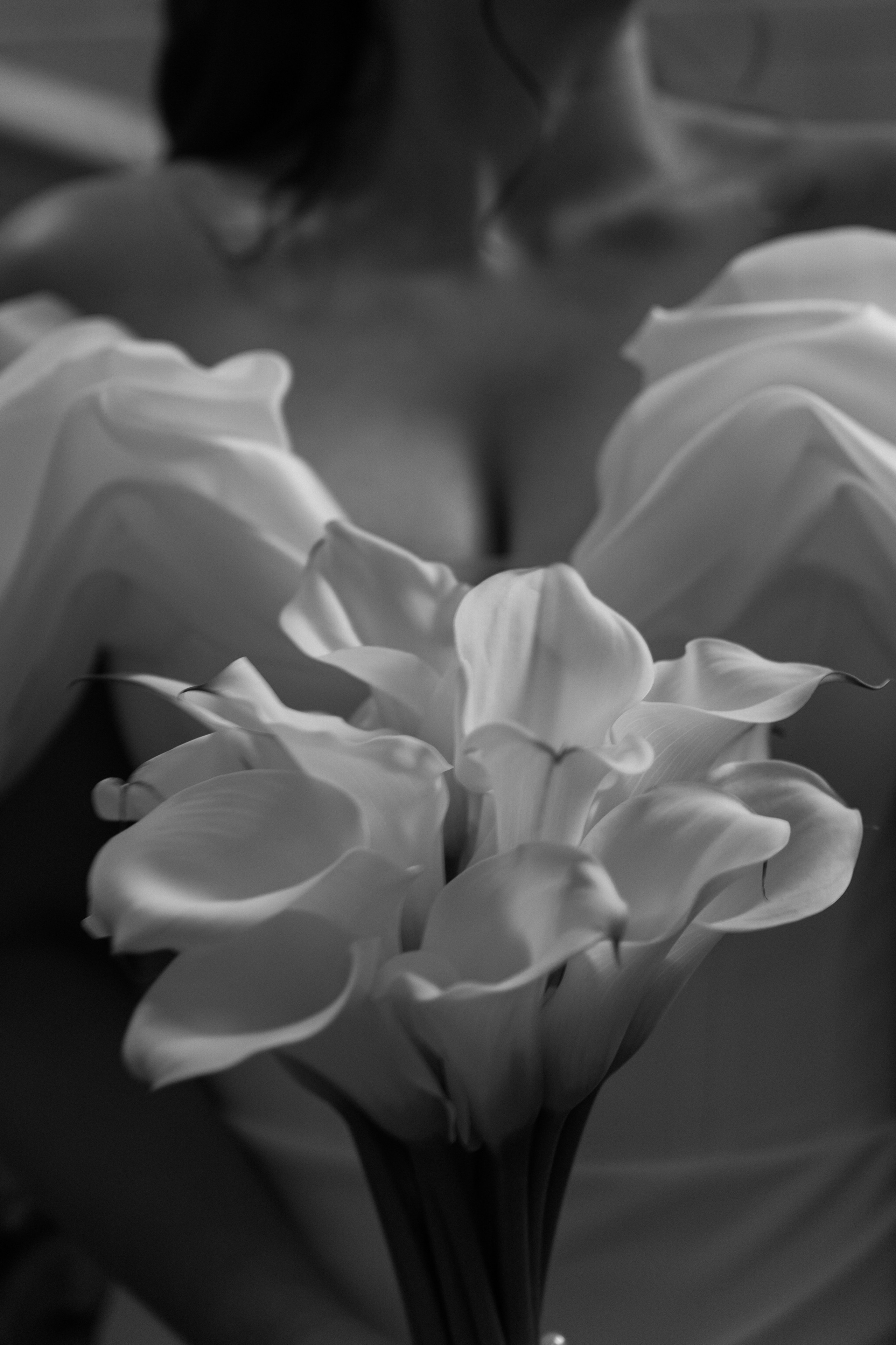 Александр и Алена. Wedding photographer in St. Petersburg, Europe and Israel Anna Agafon