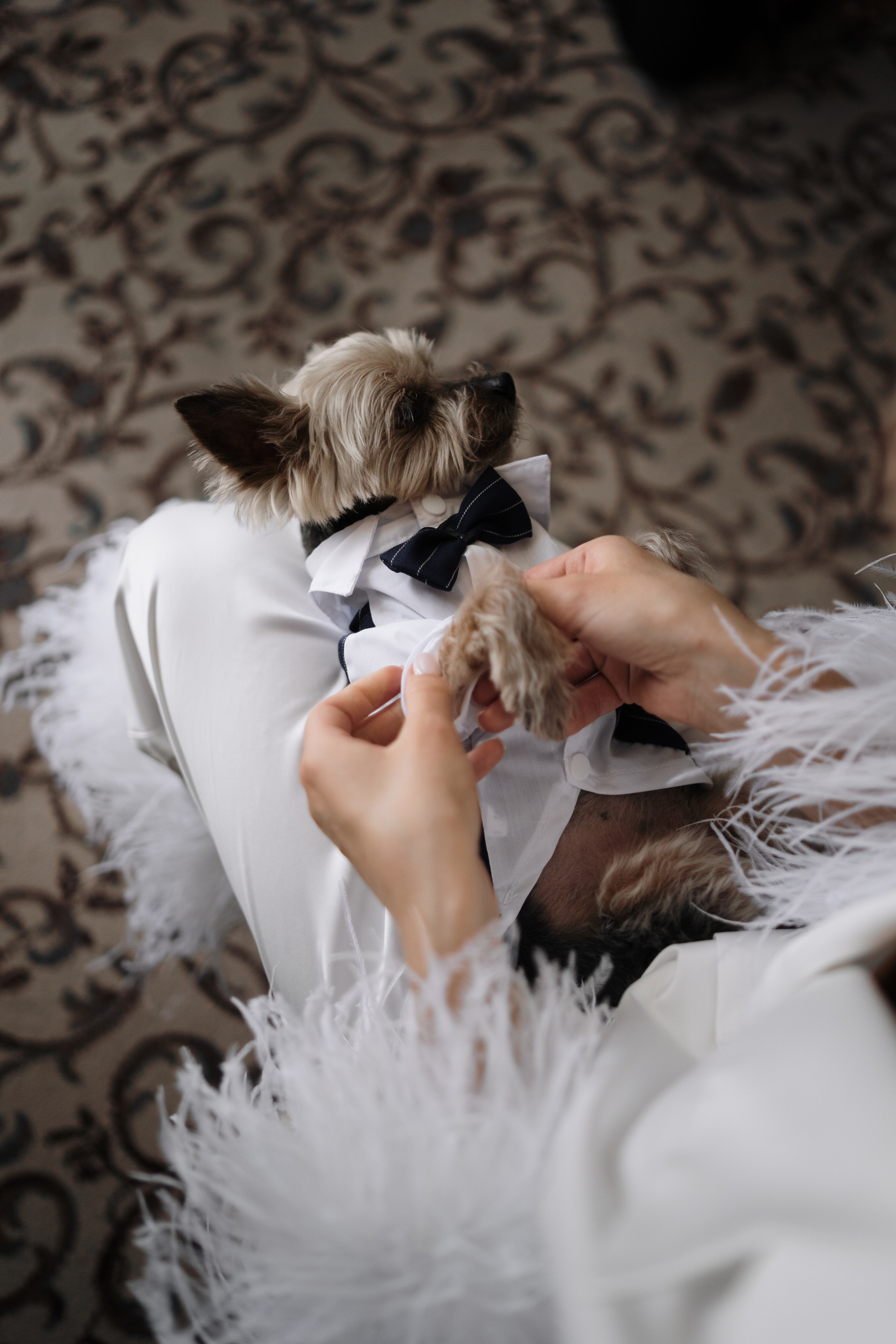 Вероника Александр. Свадебный и портретный фотограф Алена Седининна в Крыму