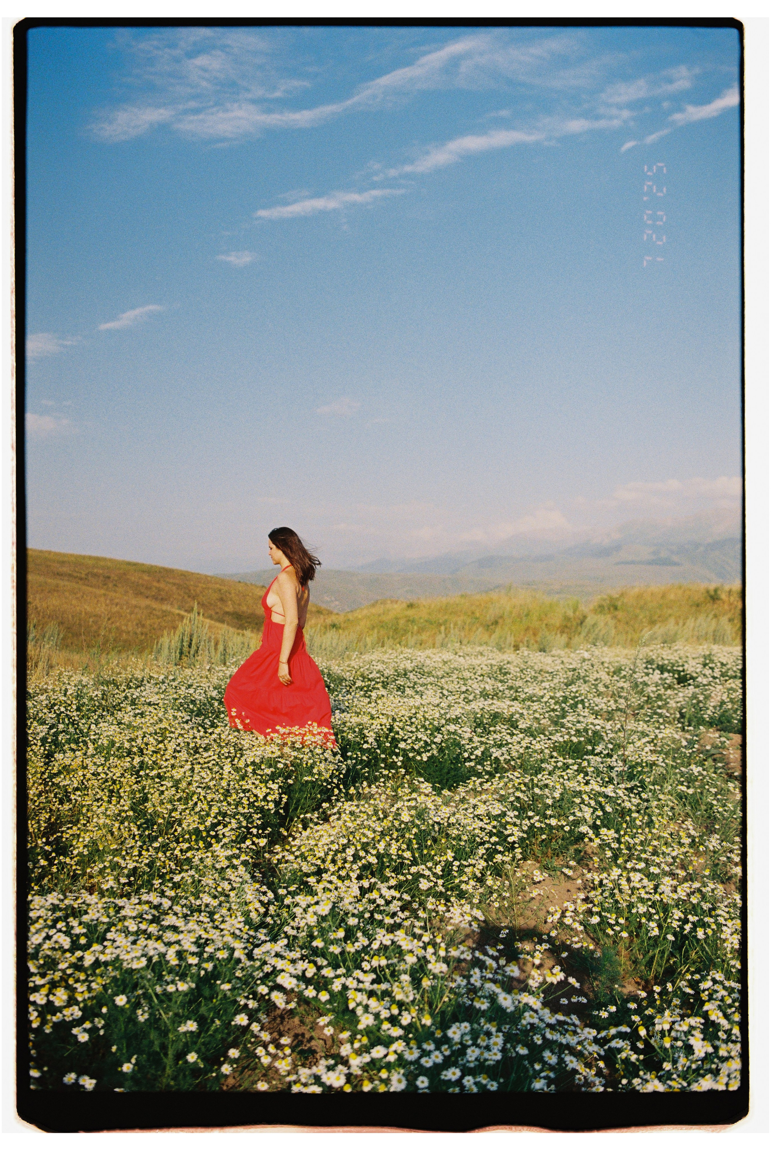 2025 — Путешествия на плёнку. Фотограф в Алматы — Алексей Коньков | Репортаж, свадьбы, портреты