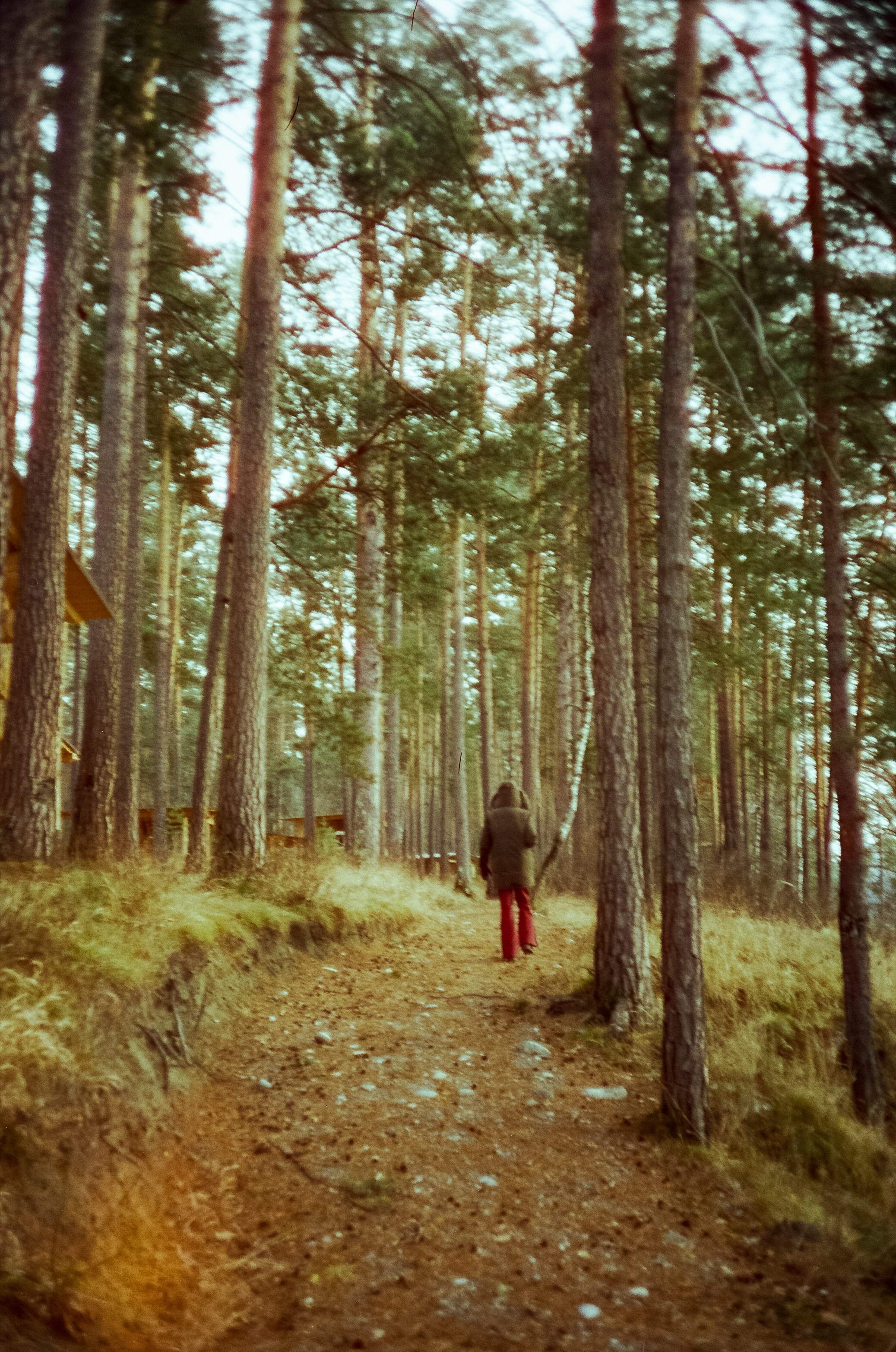 База с домами из бревен / 16 декабря 2023 года (-18℃) / LFANI WT2 Nove