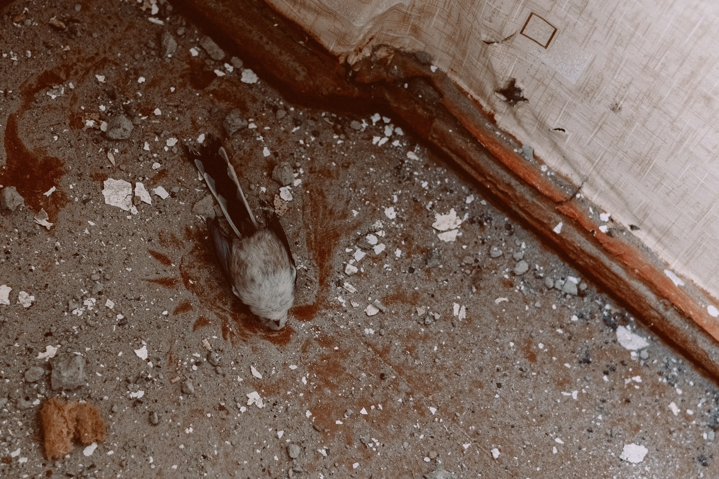 Мужская фотосессия фотограф. Фотограф Дарья Мустафина, Тюмень