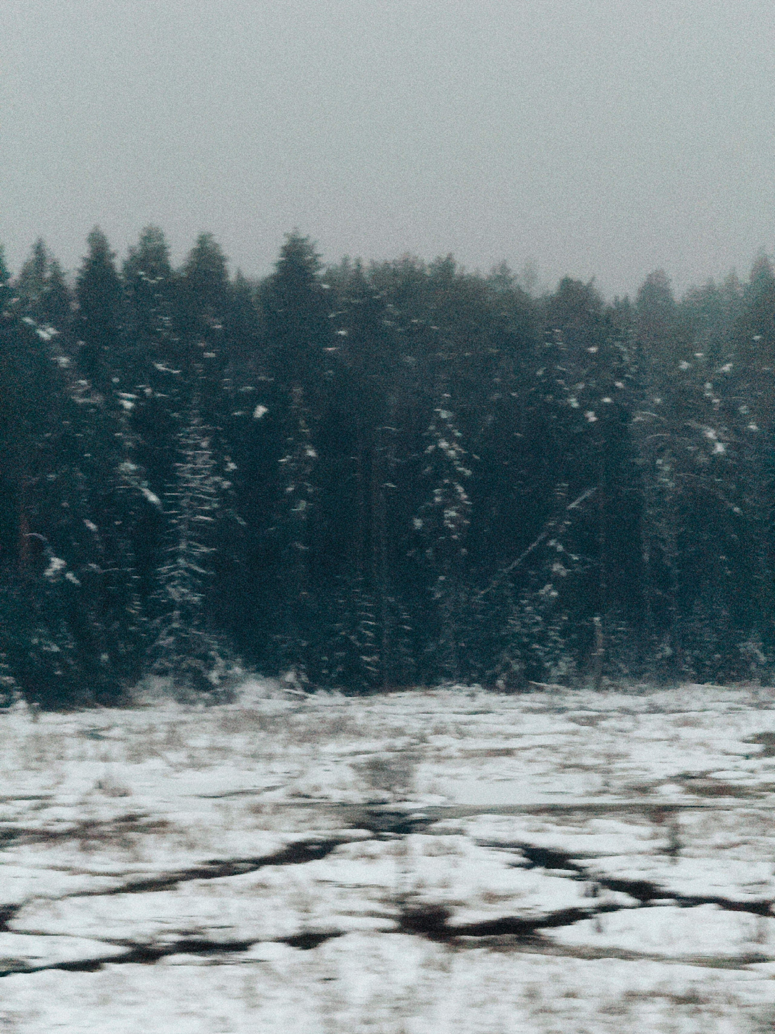 Poezdataya. Film and another stuff