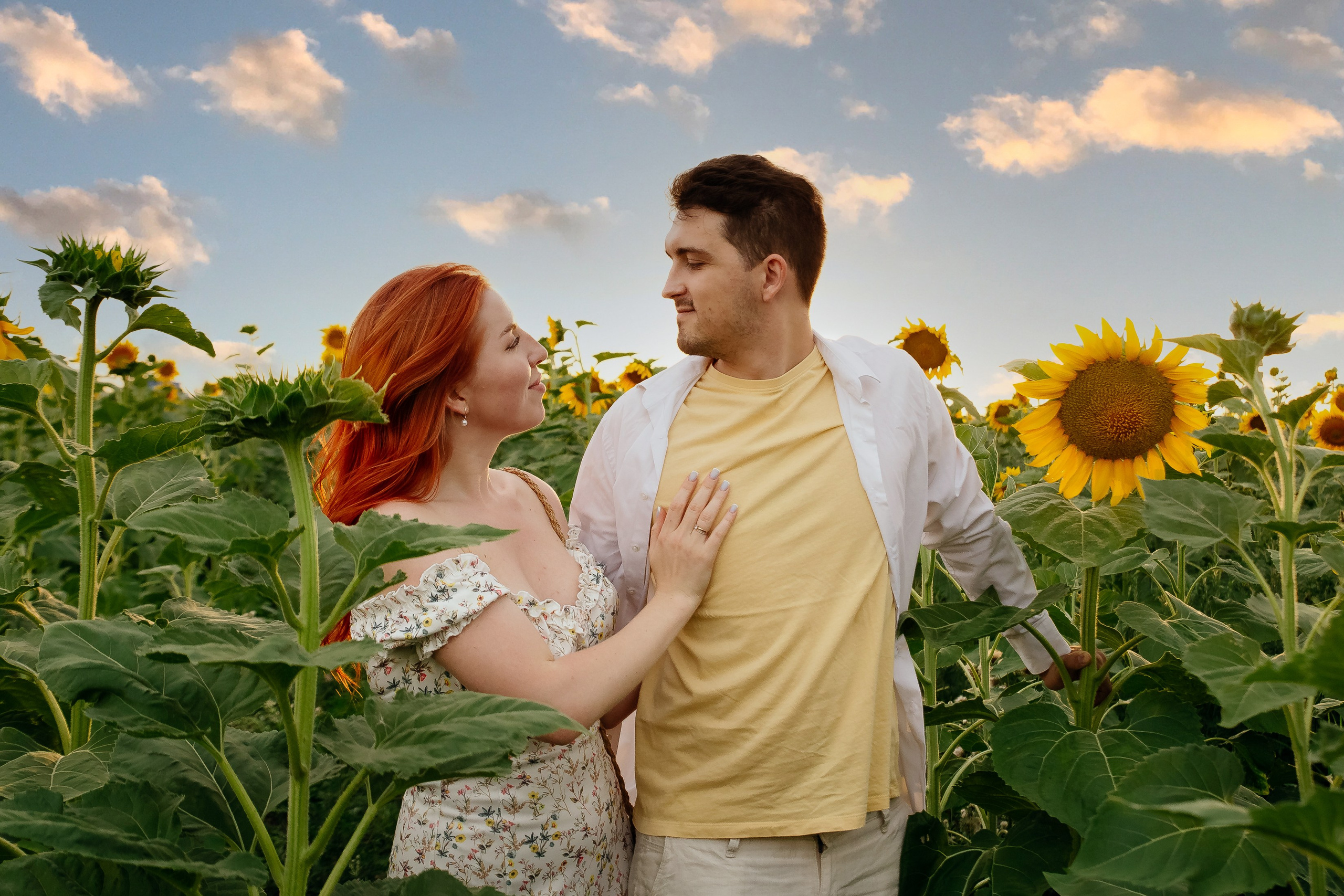 Подсолнухи. Свадебный и семейный фотограф в Краснодаре Илонна Ковалева