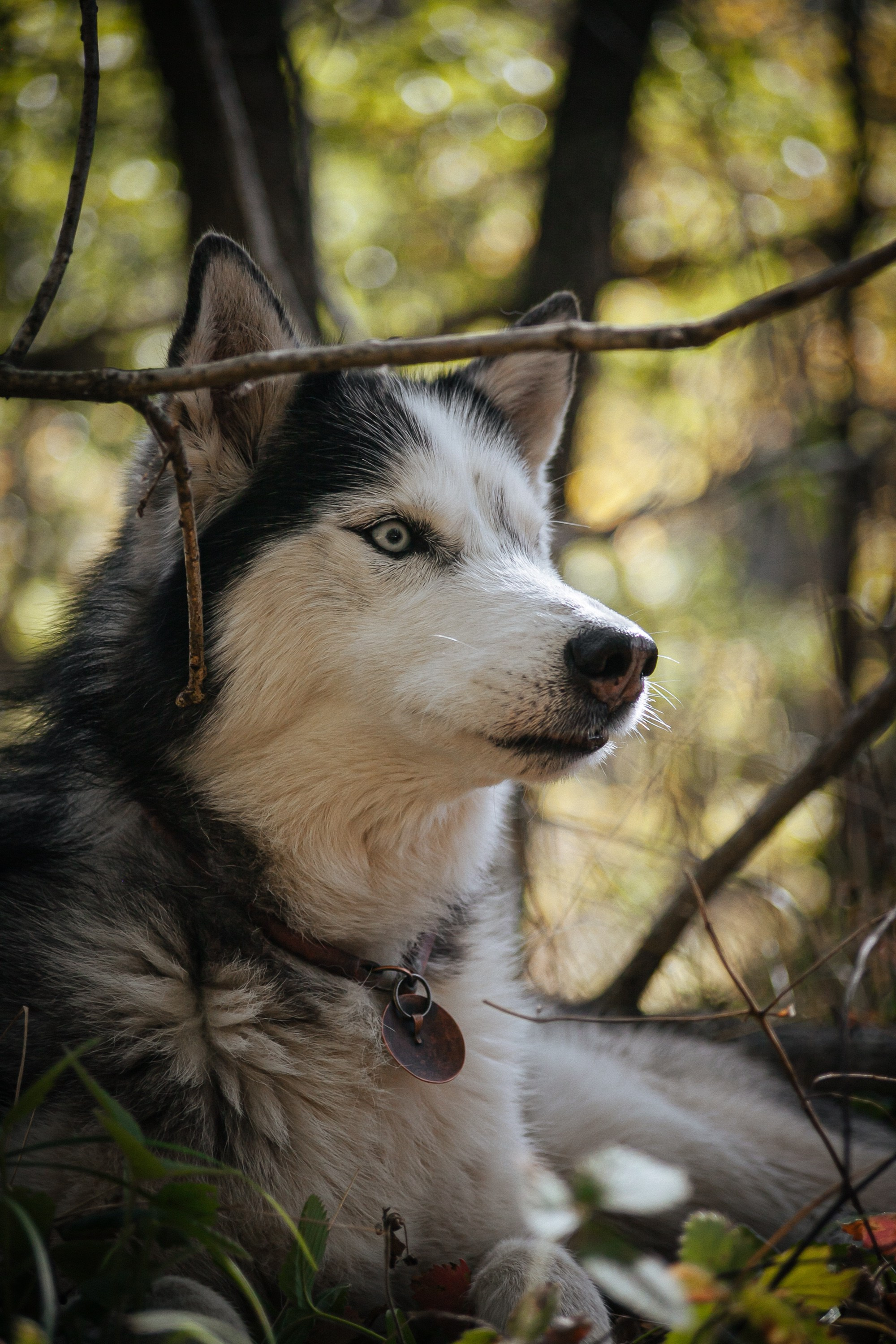 Фото: Свет внутри. «Свет внутри»