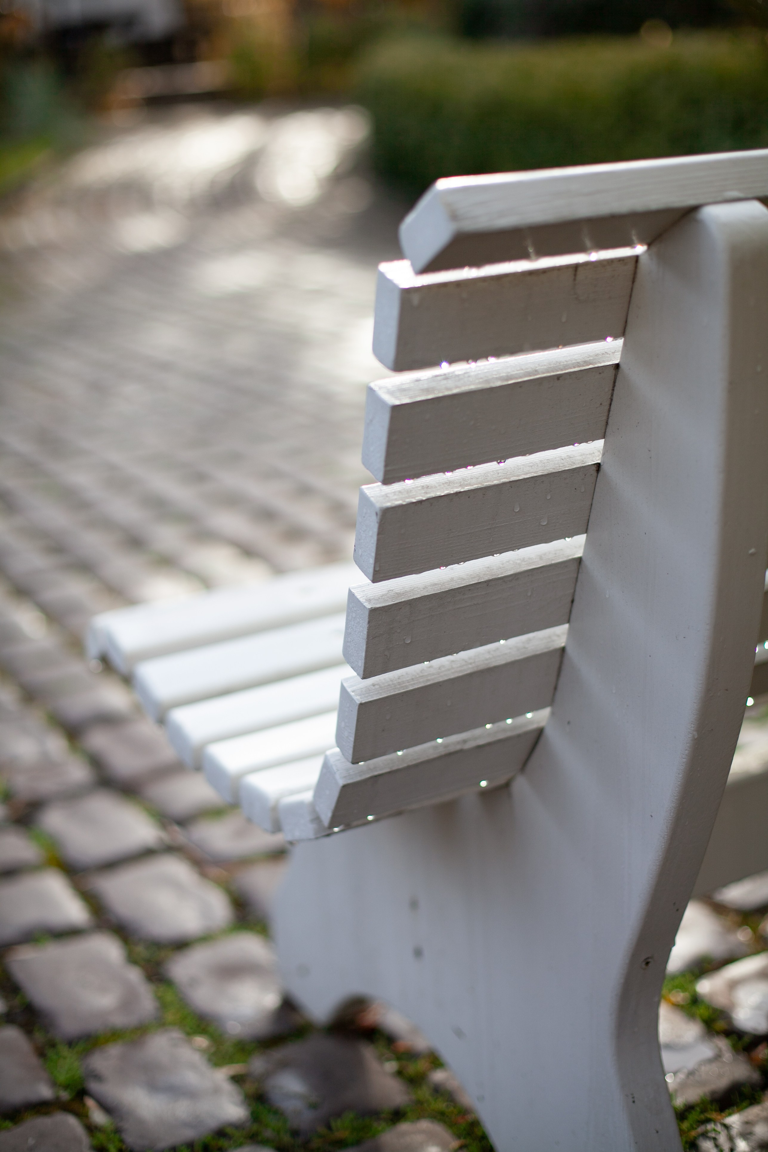 Сады Мечты. Контент для сайта. Фотограф Дарья Локотко в Красноярске