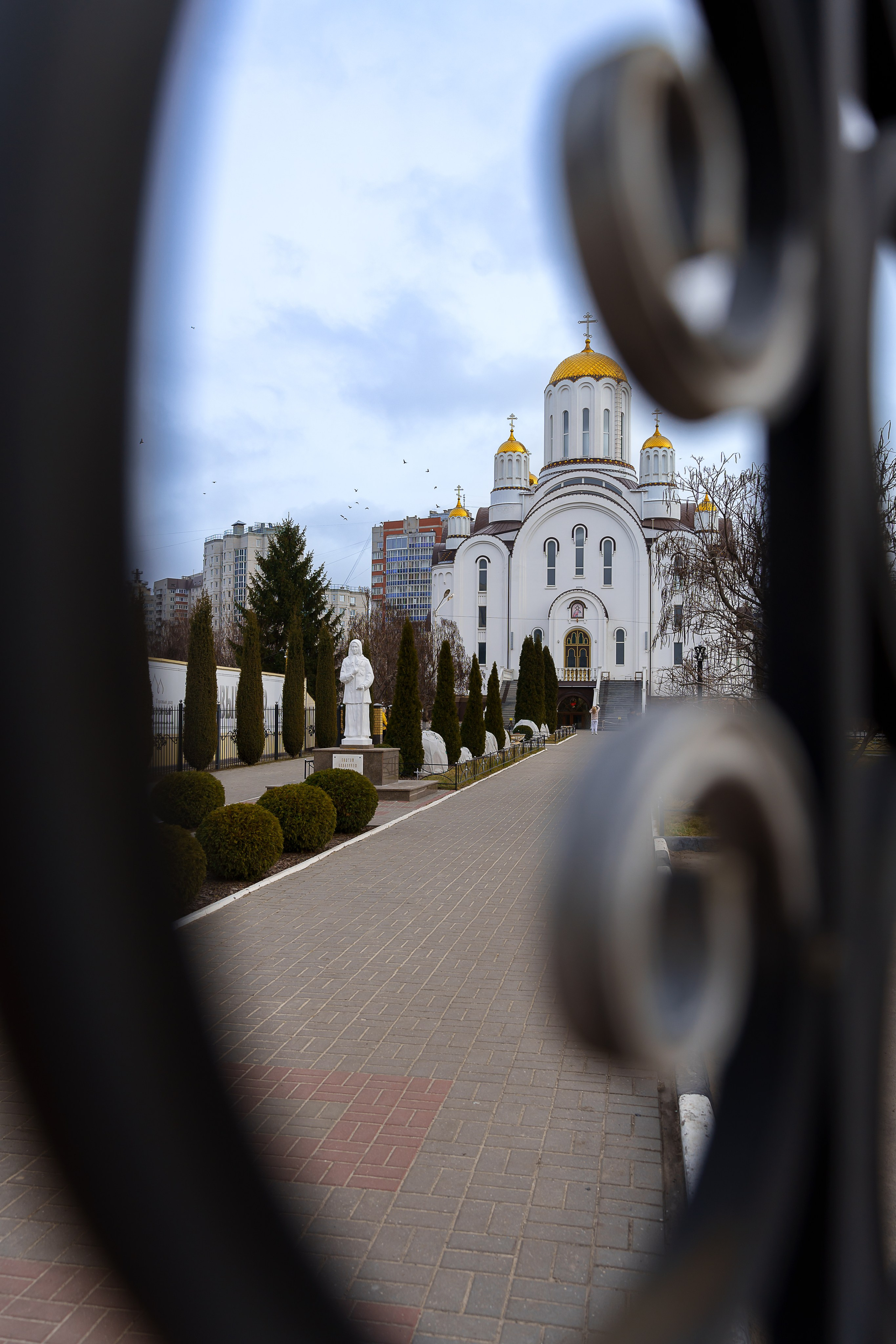 Храмовый комплекс Ксении Петербургской, г. Воронеж