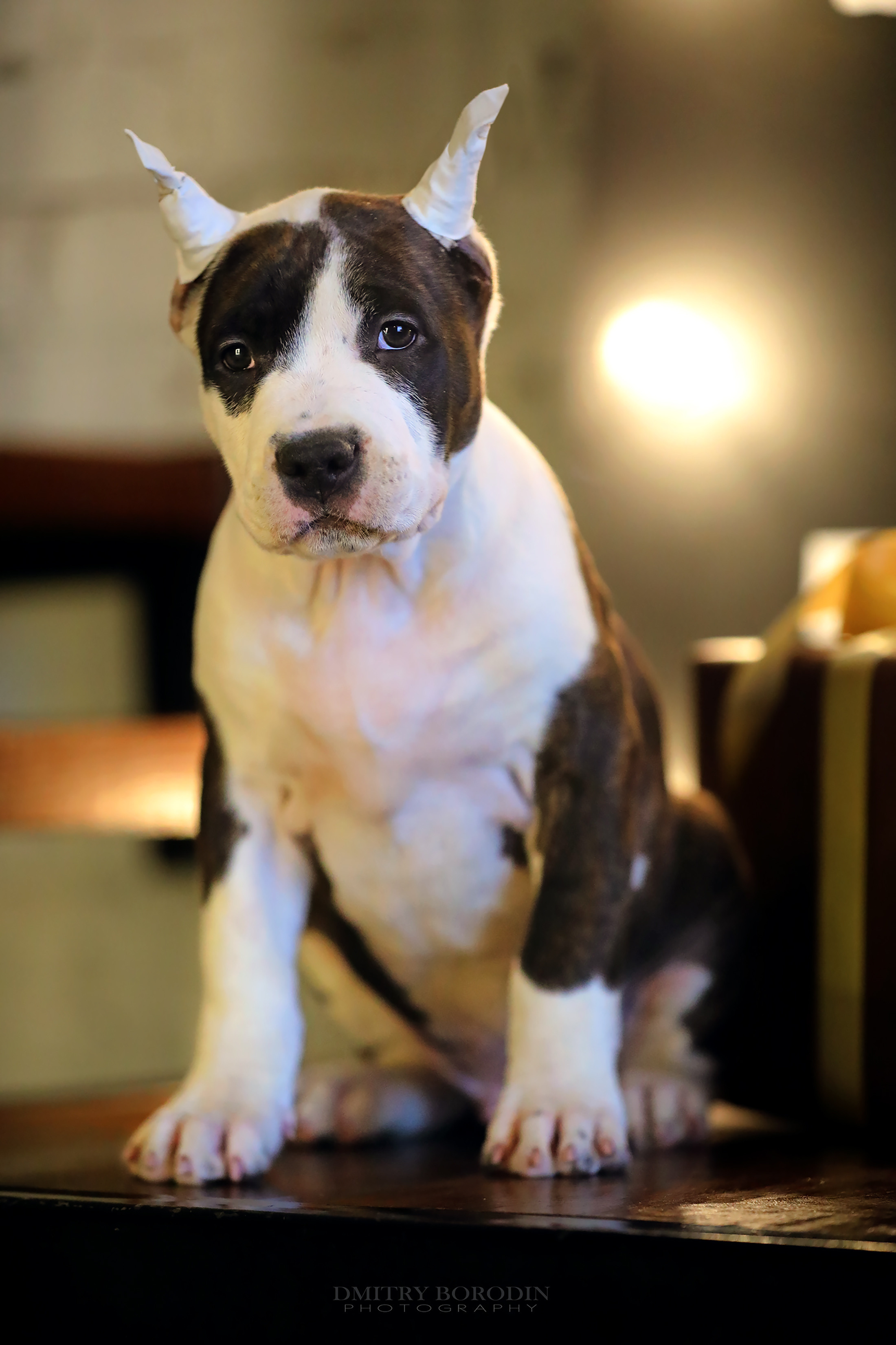 20.12.2021 Ам Стафф Норд. Фотограф Дмитрий Бородин