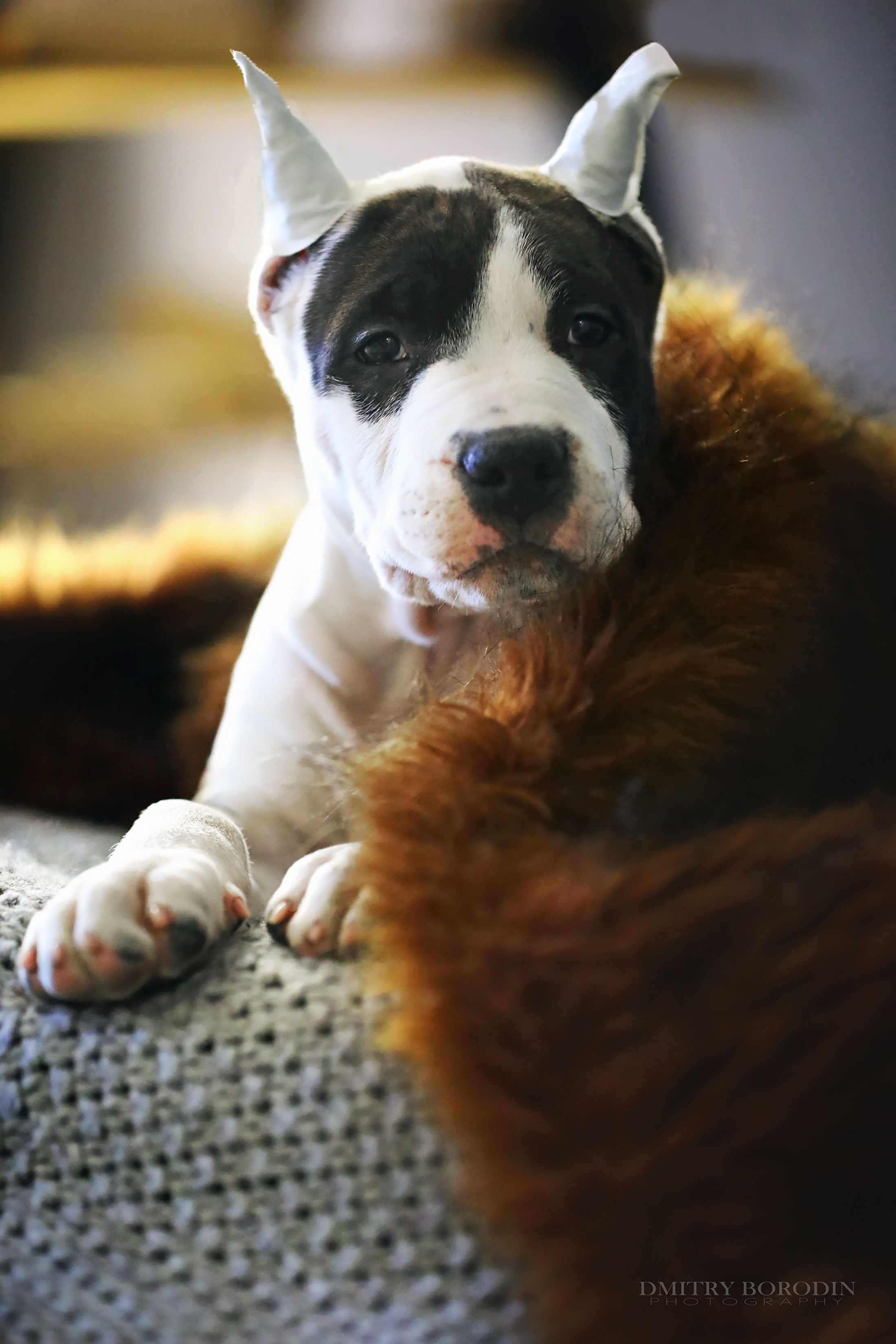 20.12.2021 Ам Стафф Норд. Фотограф Дмитрий Бородин