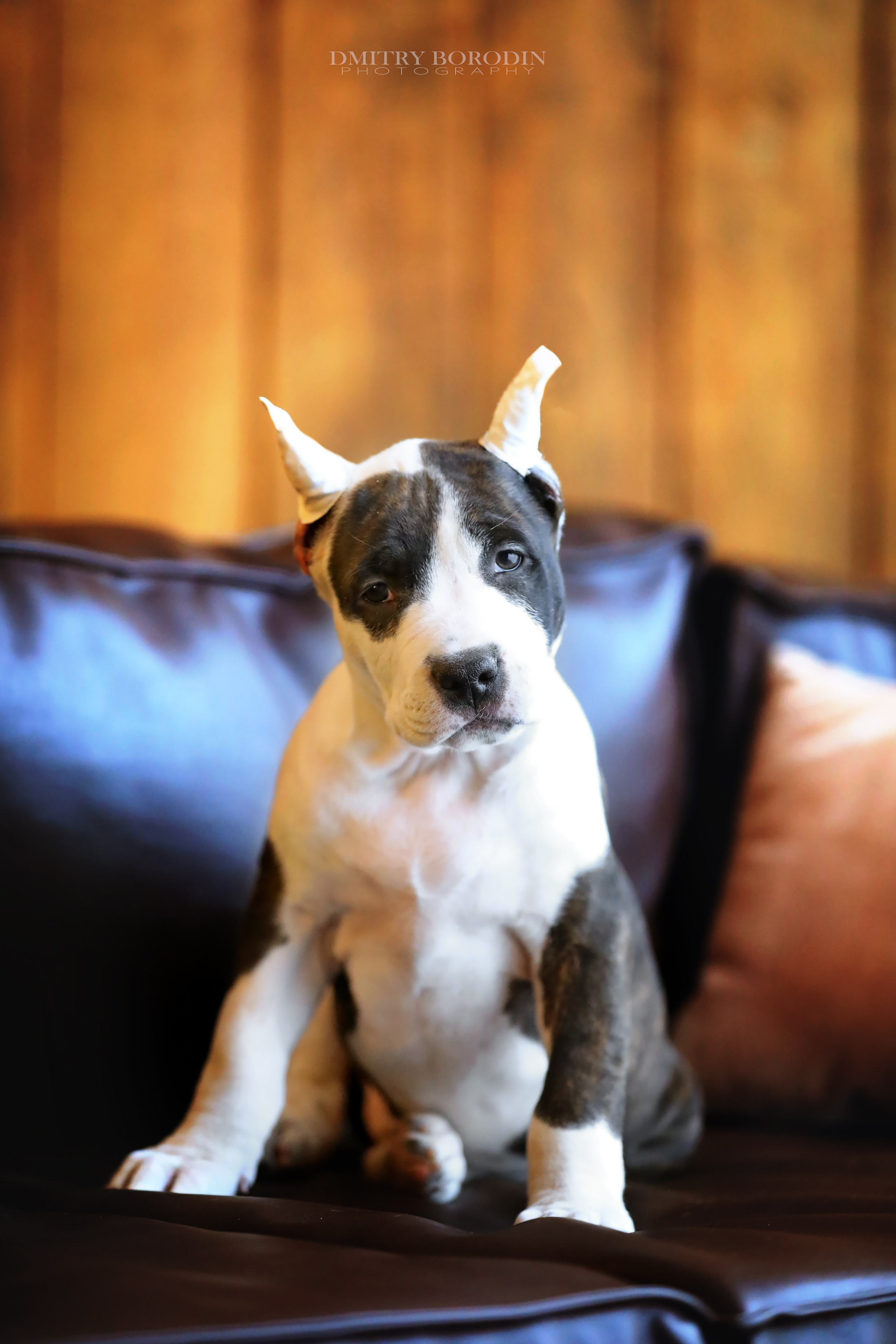 20.12.2021 Ам Стафф Норд. Фотограф Дмитрий Бородин