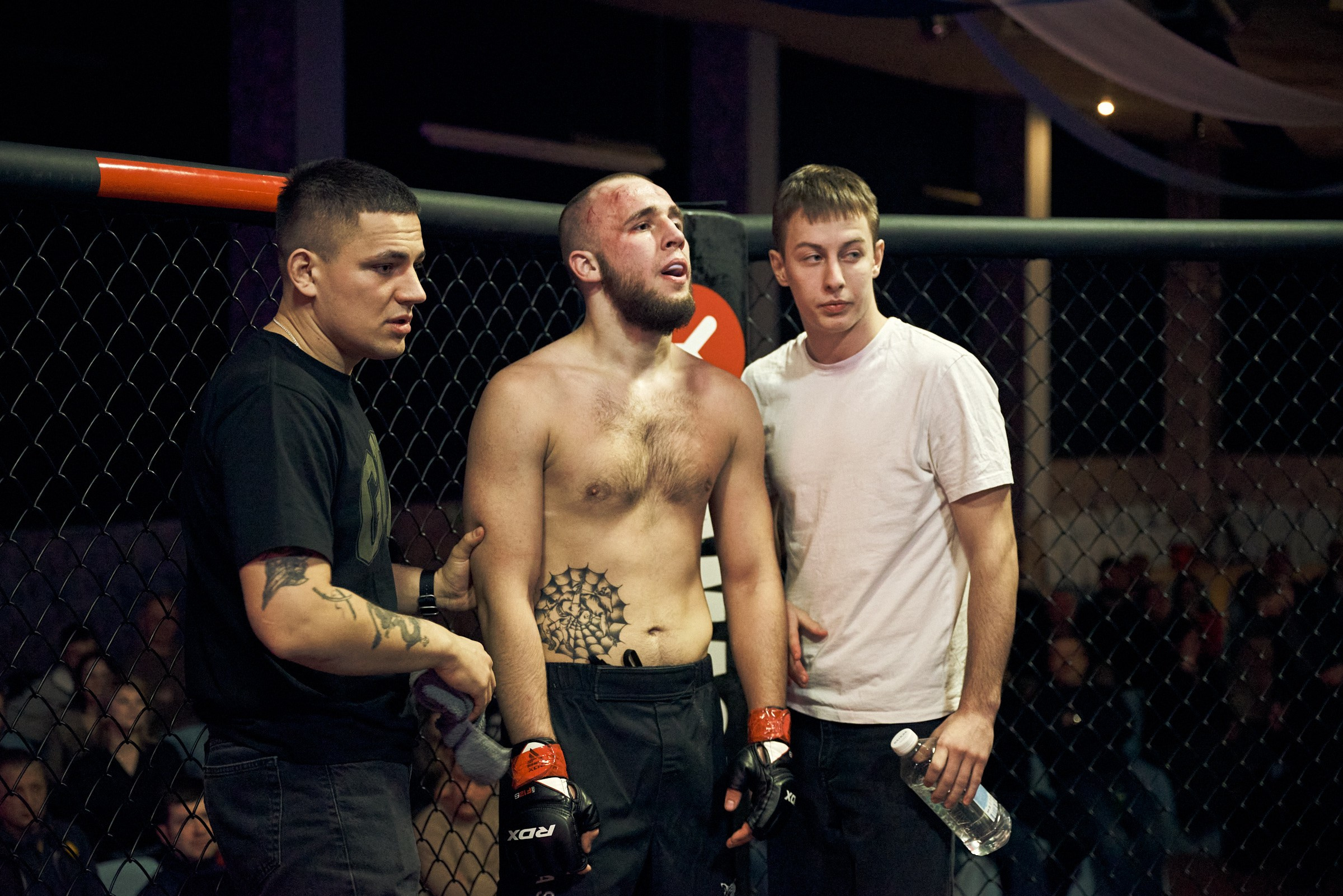 Бои. Маляревич Дмитрий свадебный фотограф