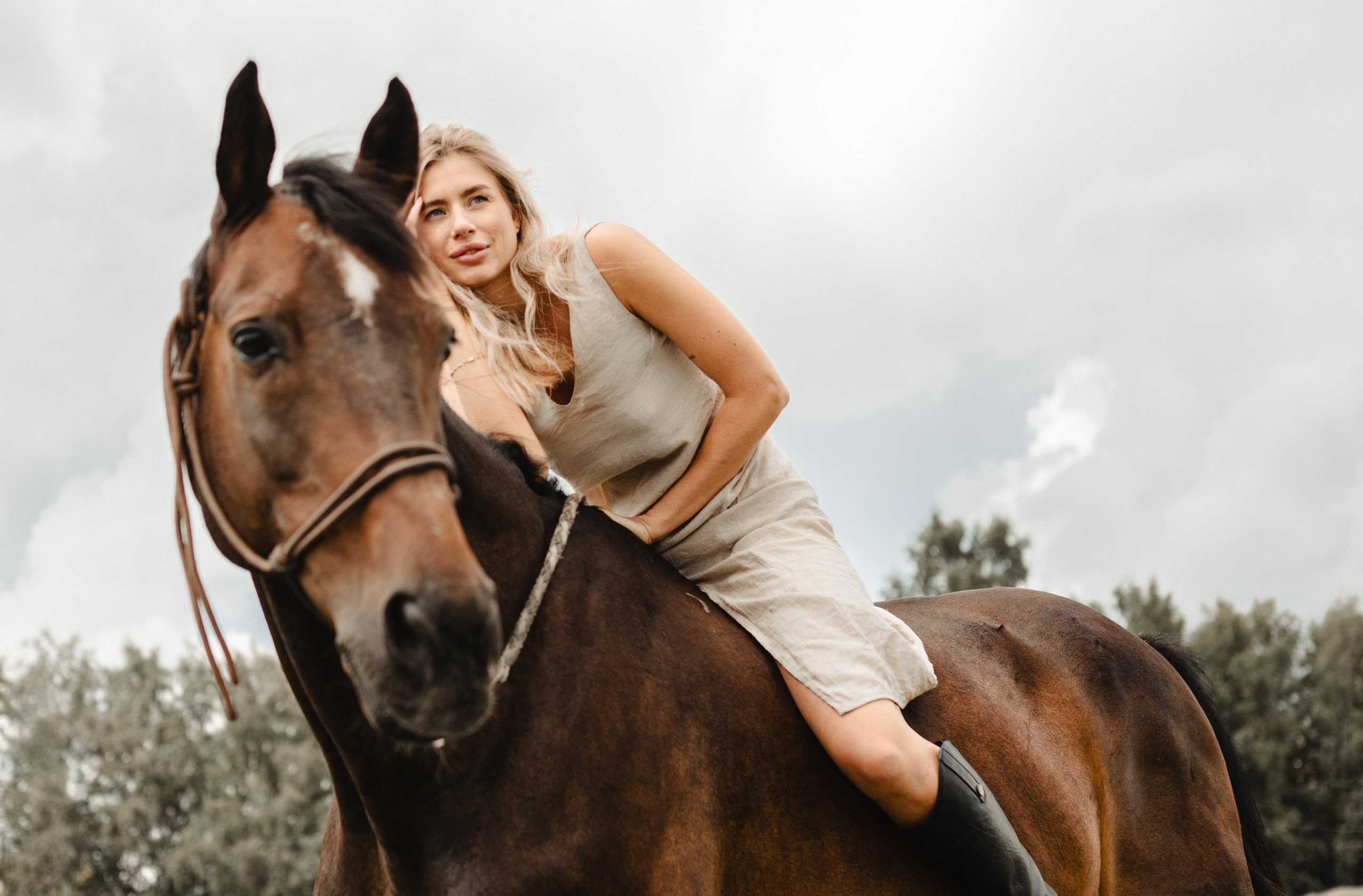 Человек и Лошадь. Главная