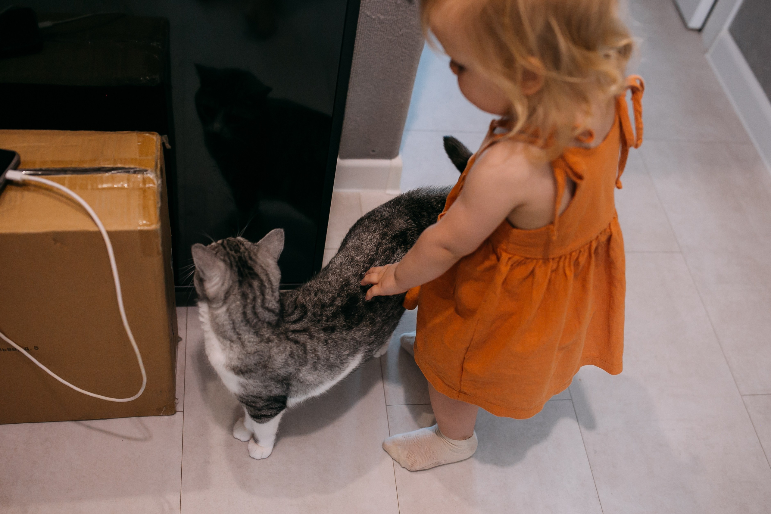 Илья, Тася, Гоша, Юля. Семейный фотограф в Волгограде Надежда Головко