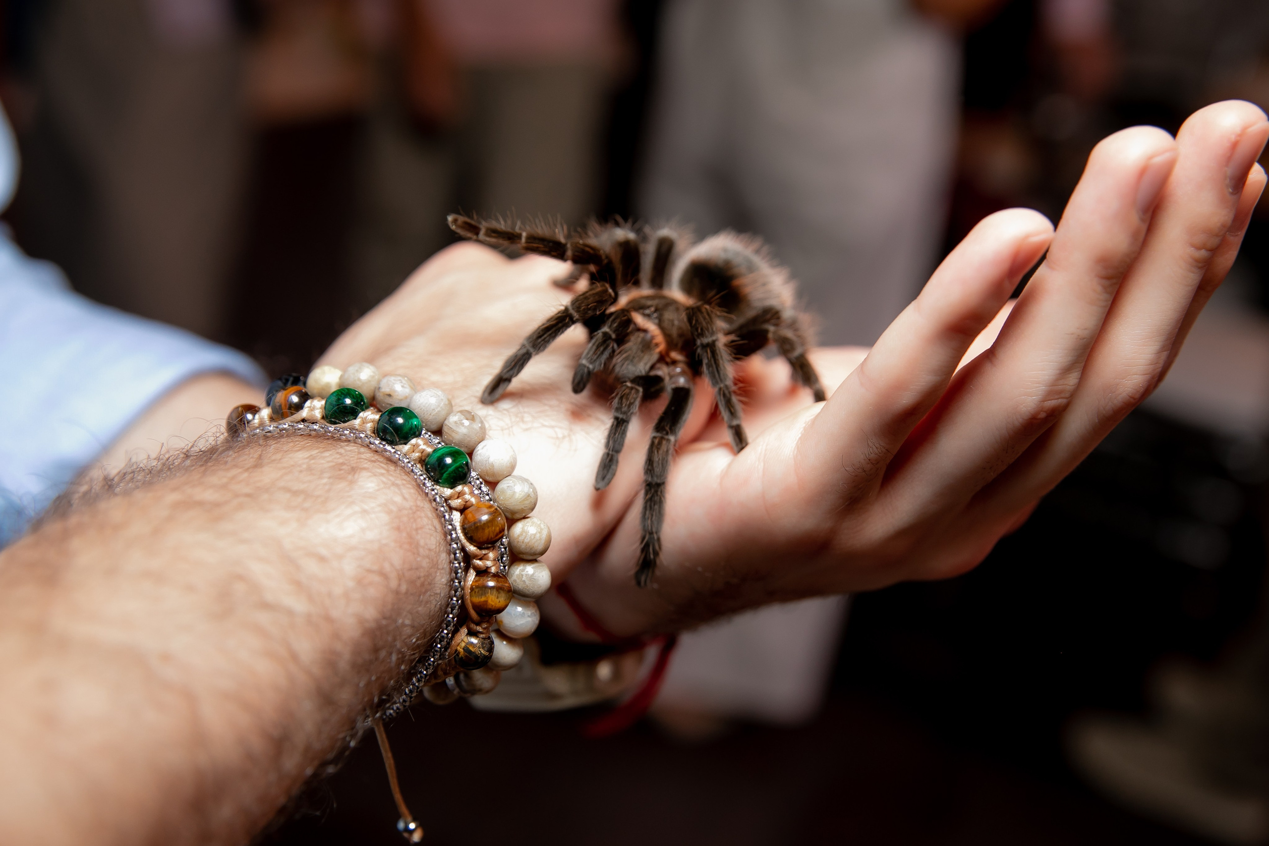 Дни рождения взрослые. Семейный фотограф в Москве