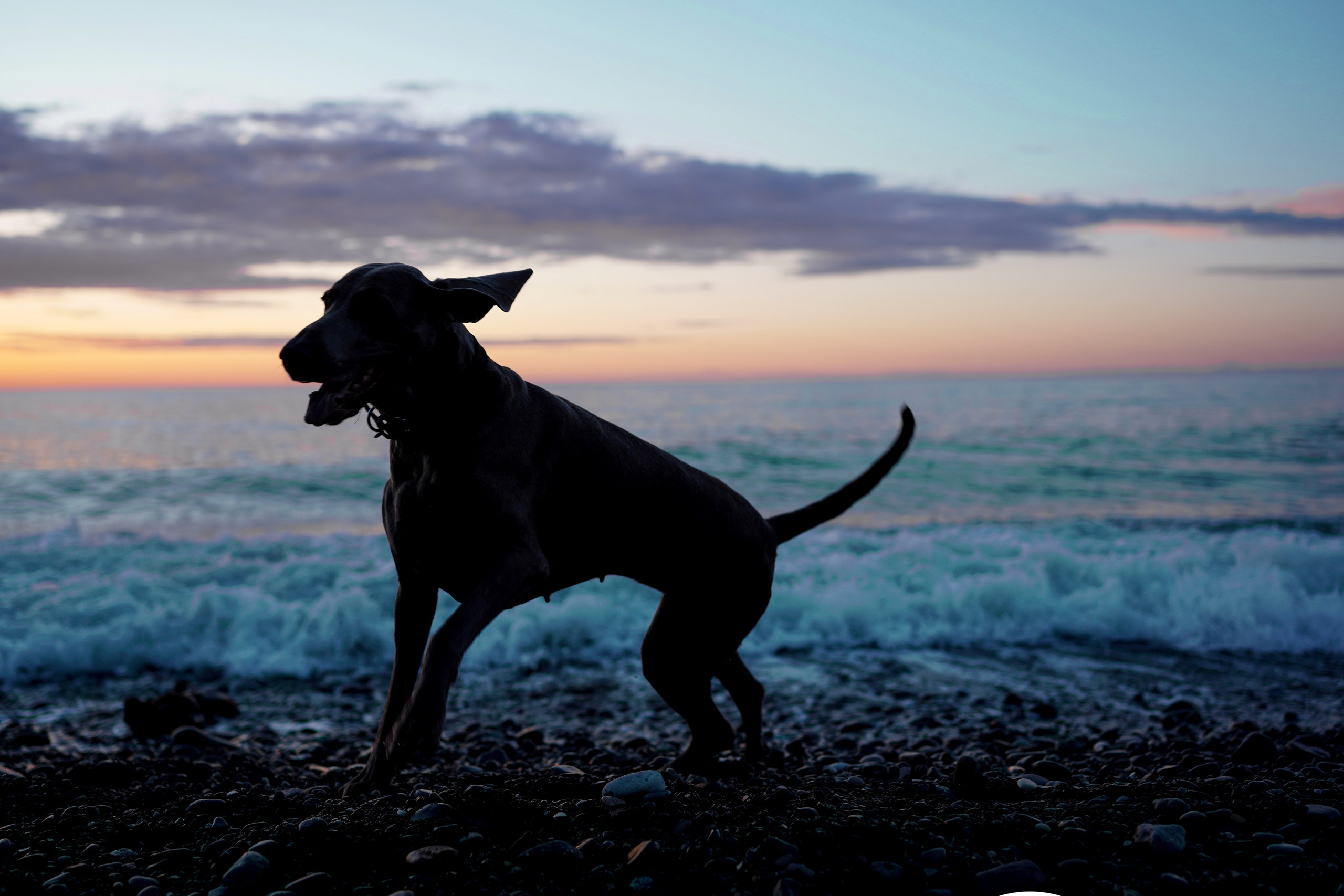 ГРУЗИЯ. Ася Краснова