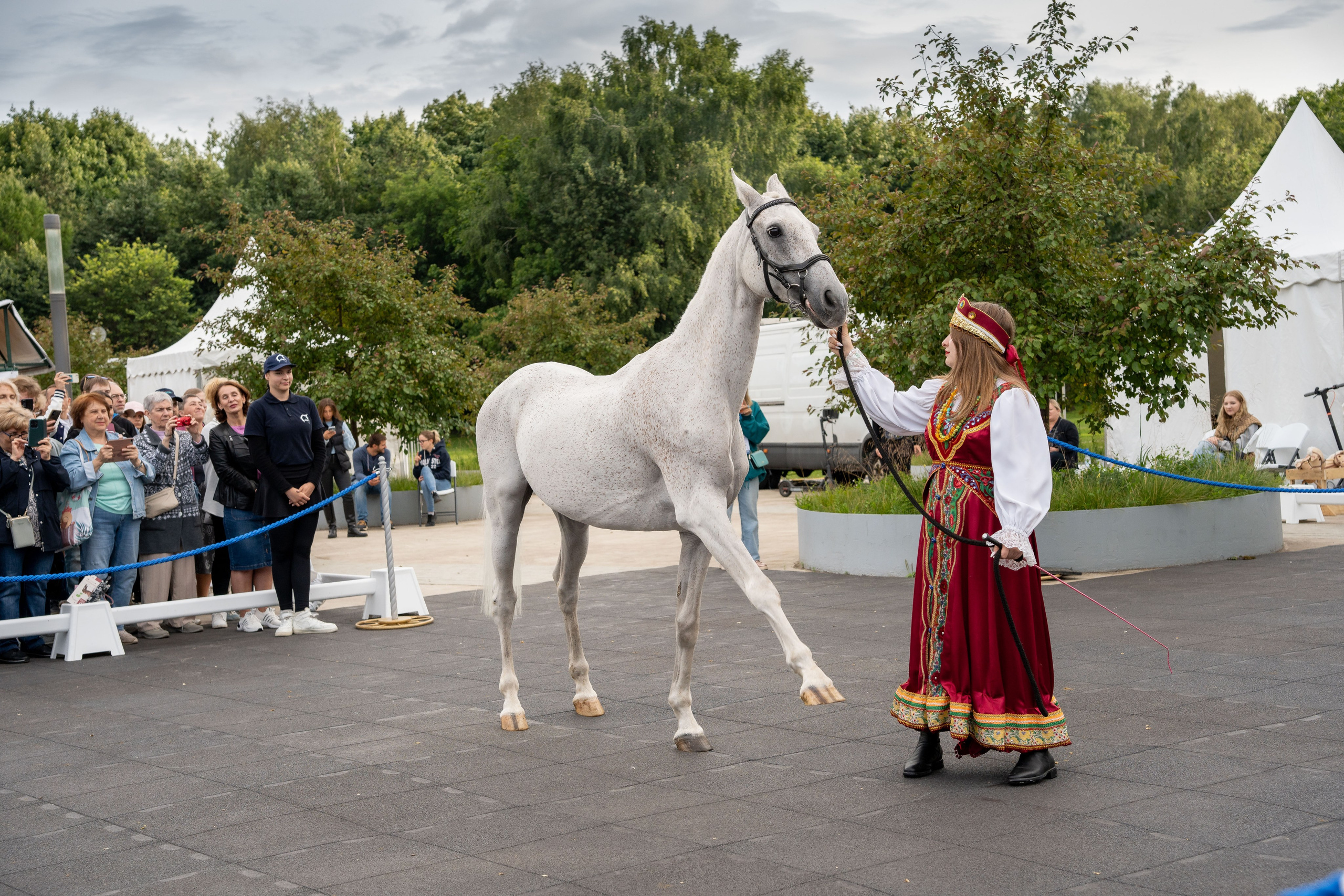 Животные. Фото, видео, монтаж