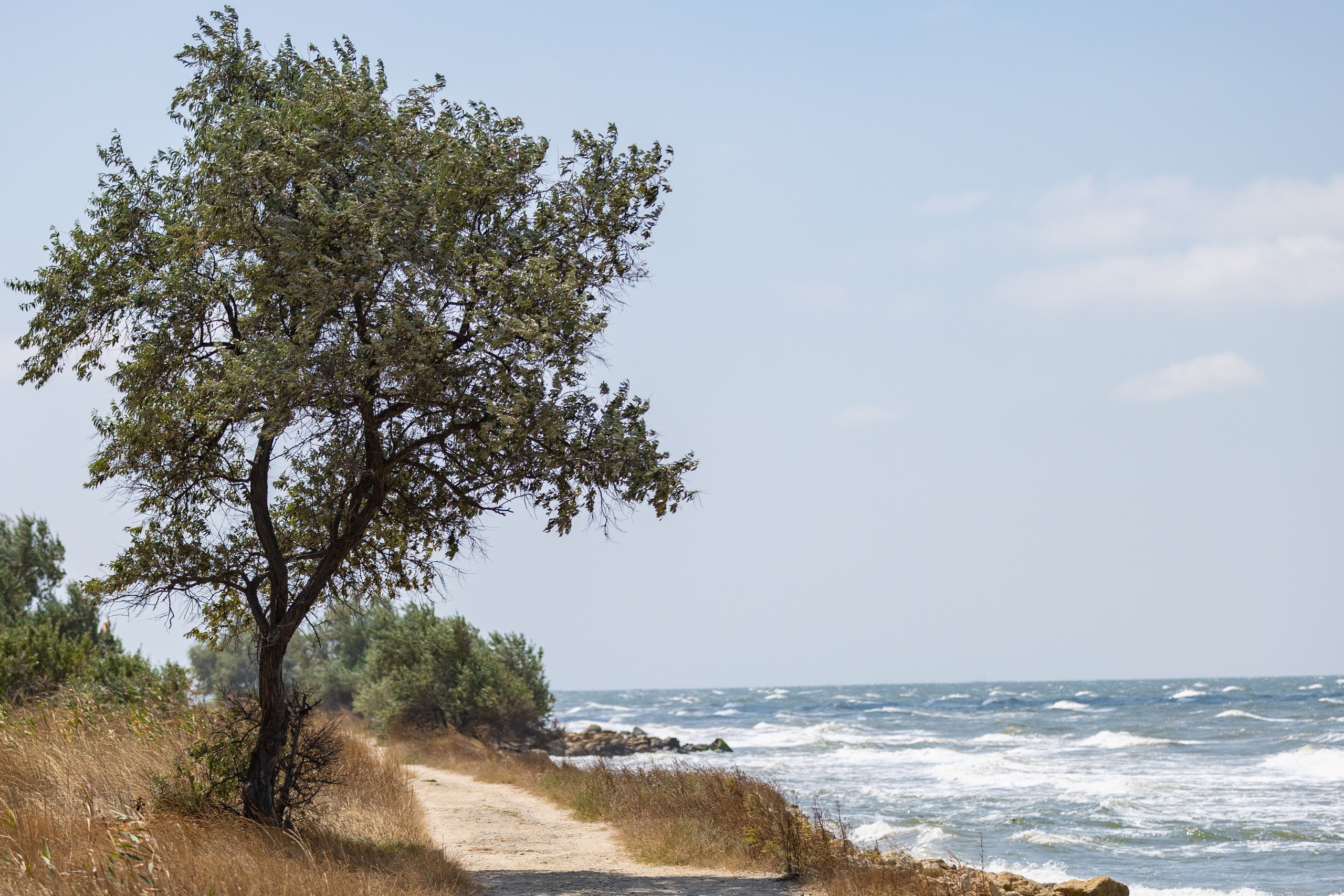 Азовское море. Фотограф Владимир Охрименко