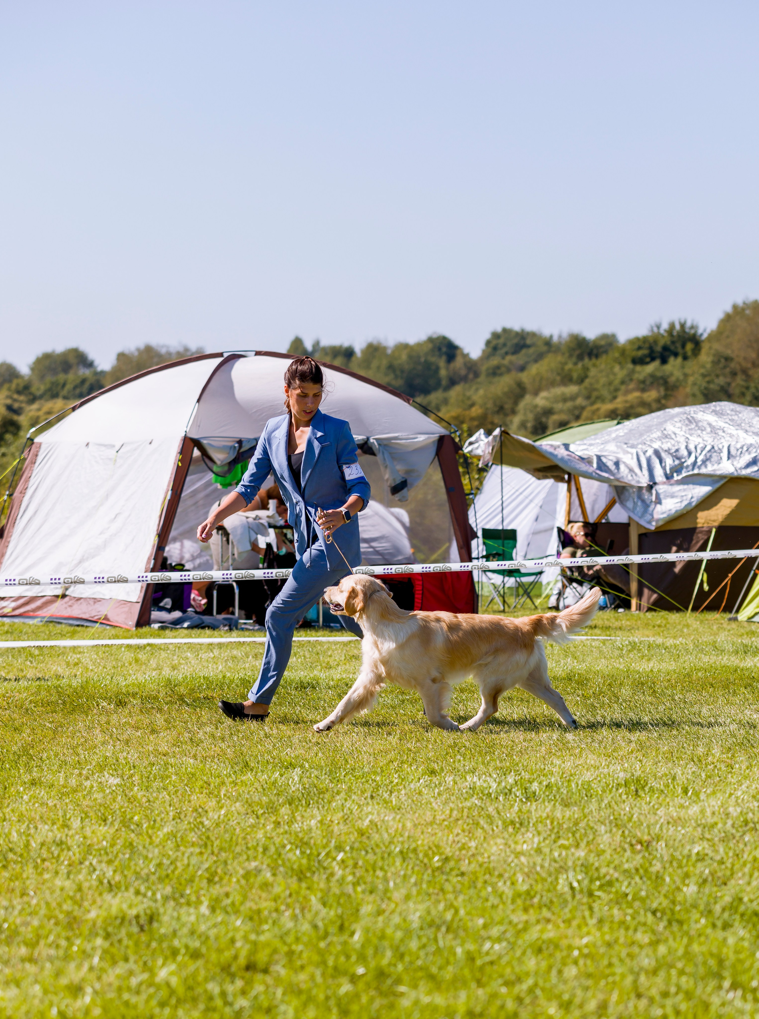 Выставки. Фотограф — анималист Татьяна Ли