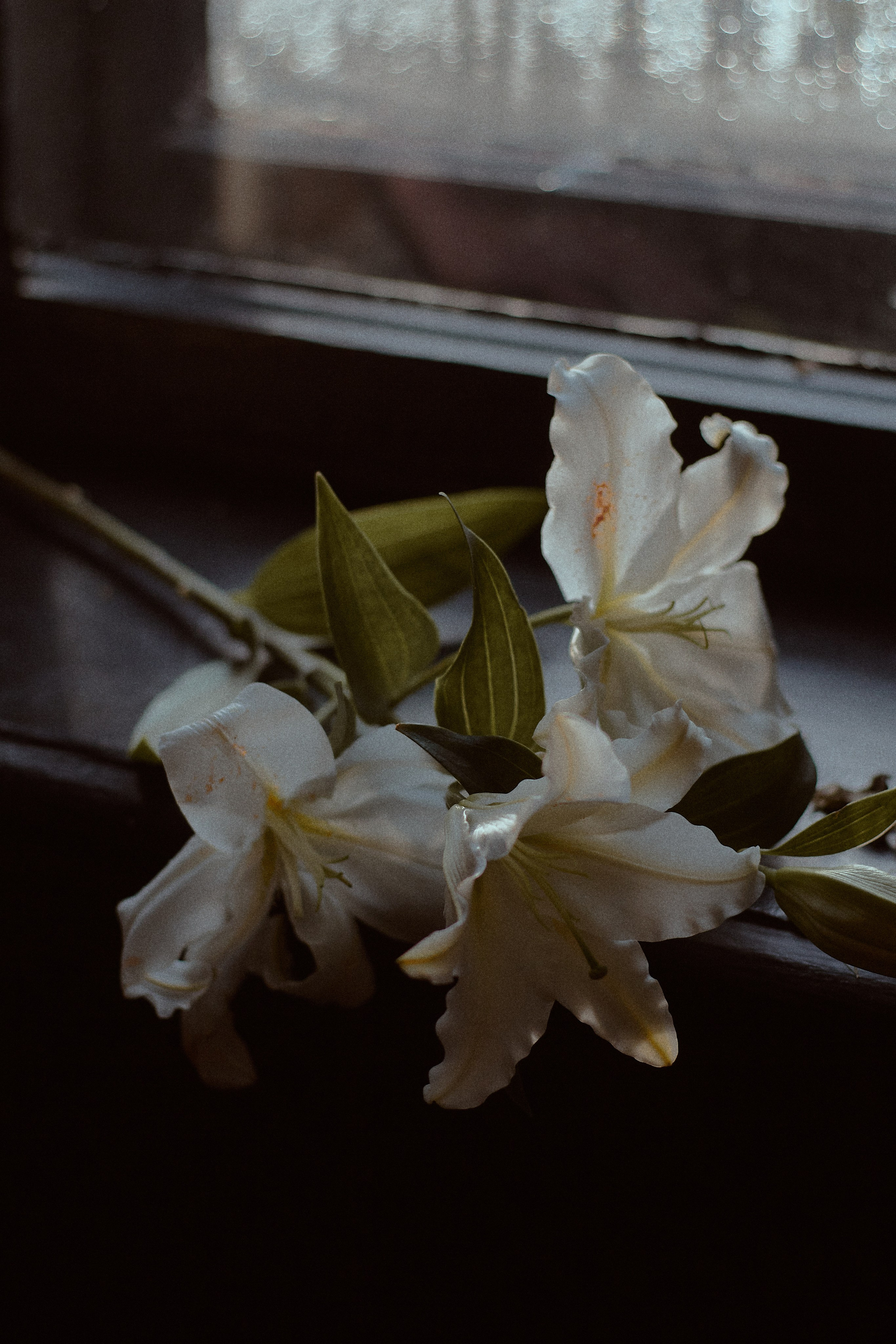 Сила. Фотограф лавстори Москва/МО Приятелева Ангелина