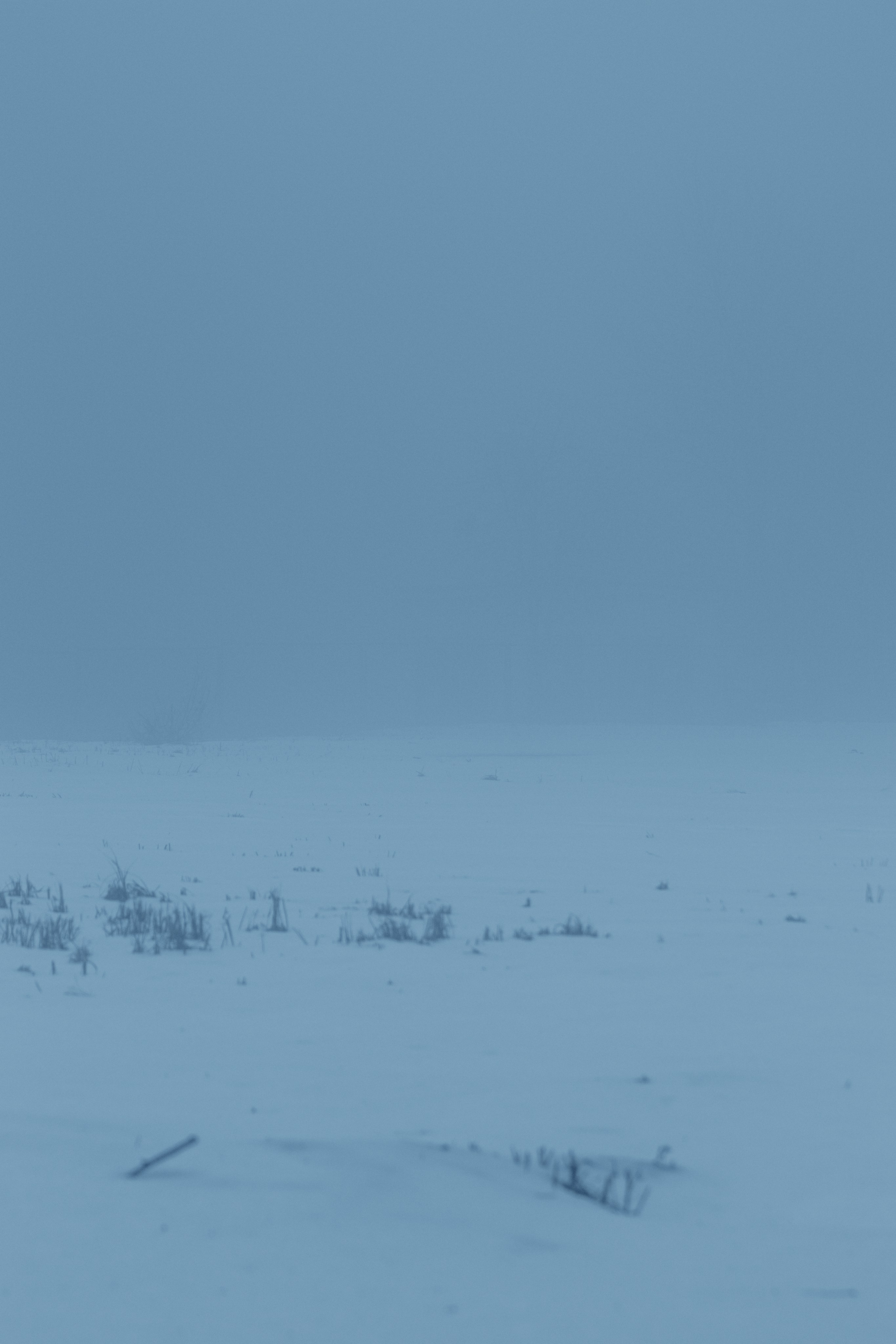 Т У М А Н. — Digital Noise —