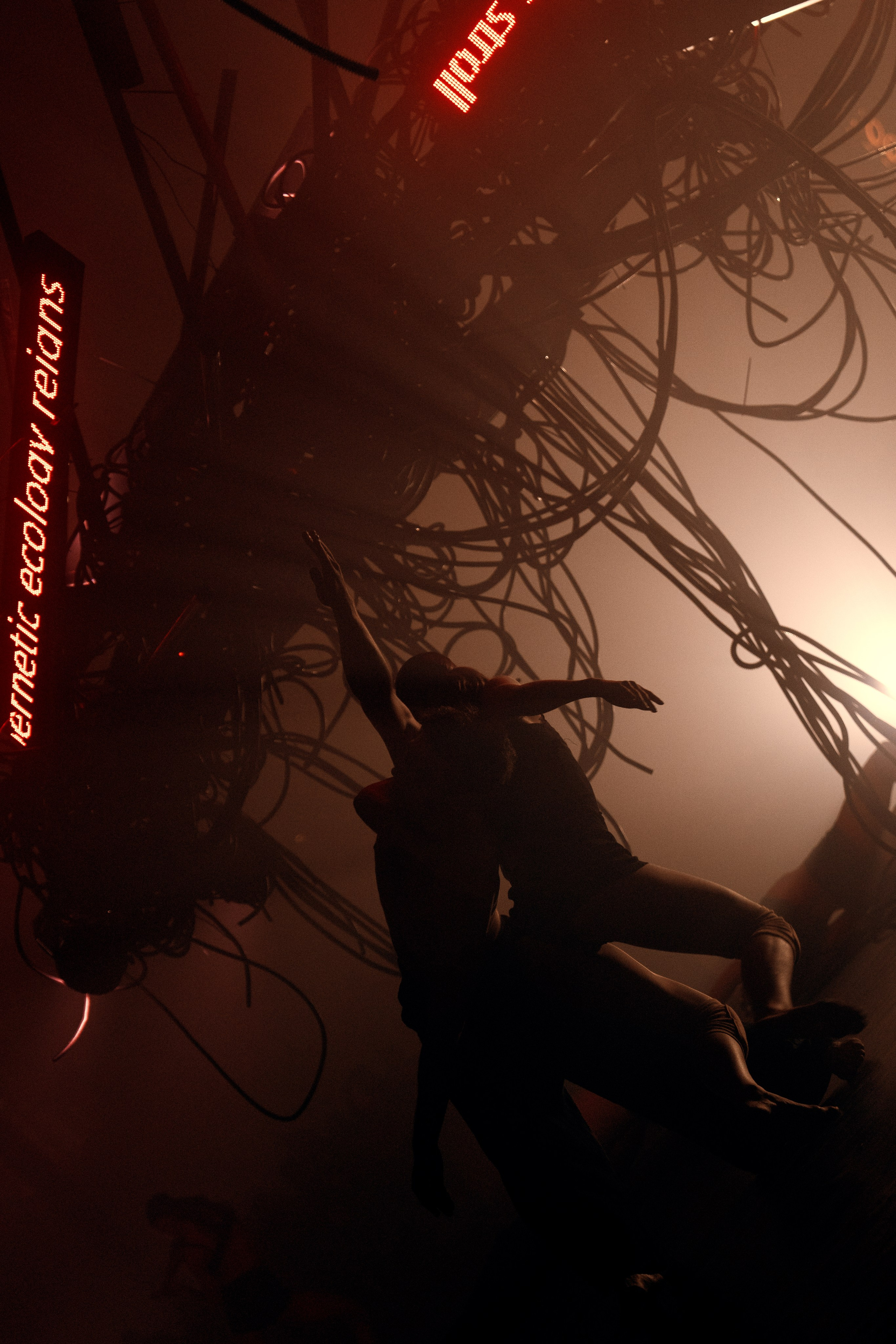 PERFORMA, The Hour of the Horse. @tomrus: Рустам Шагиморданов — фотограф