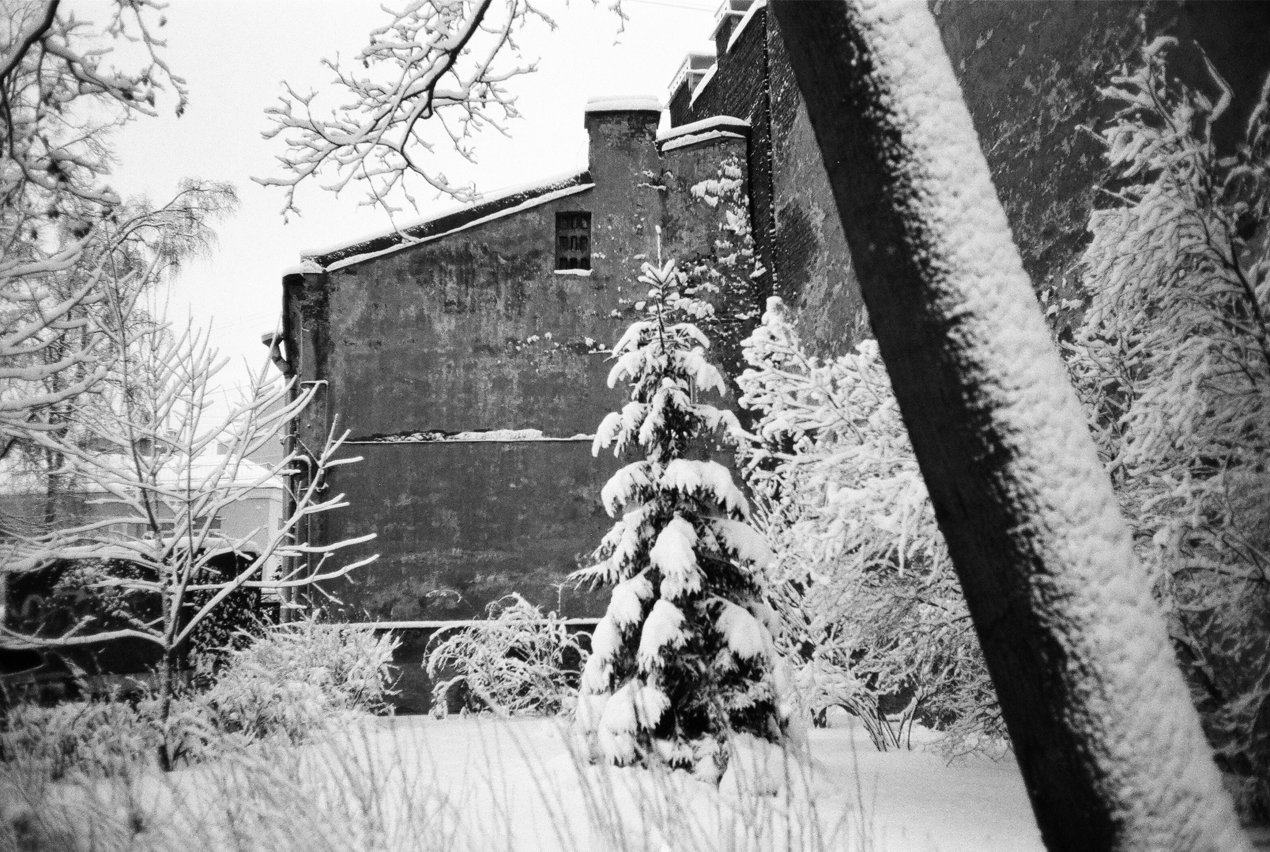 Фотографии черно-белые. Свадебный и семейный пленочный фотограф в Петербурге Истомина Ирина