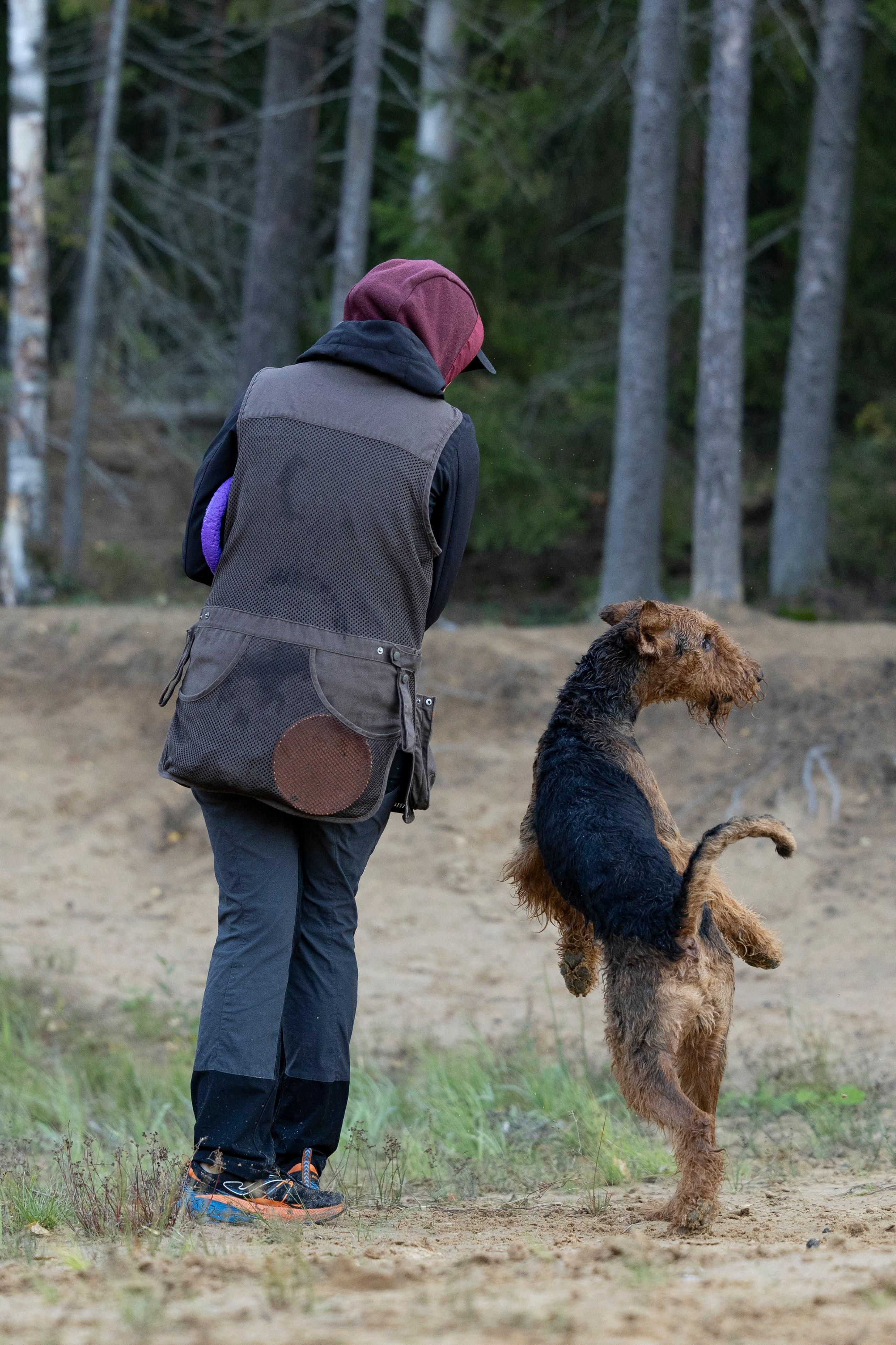 Харди. Фотограф-анималист Анна Маринич