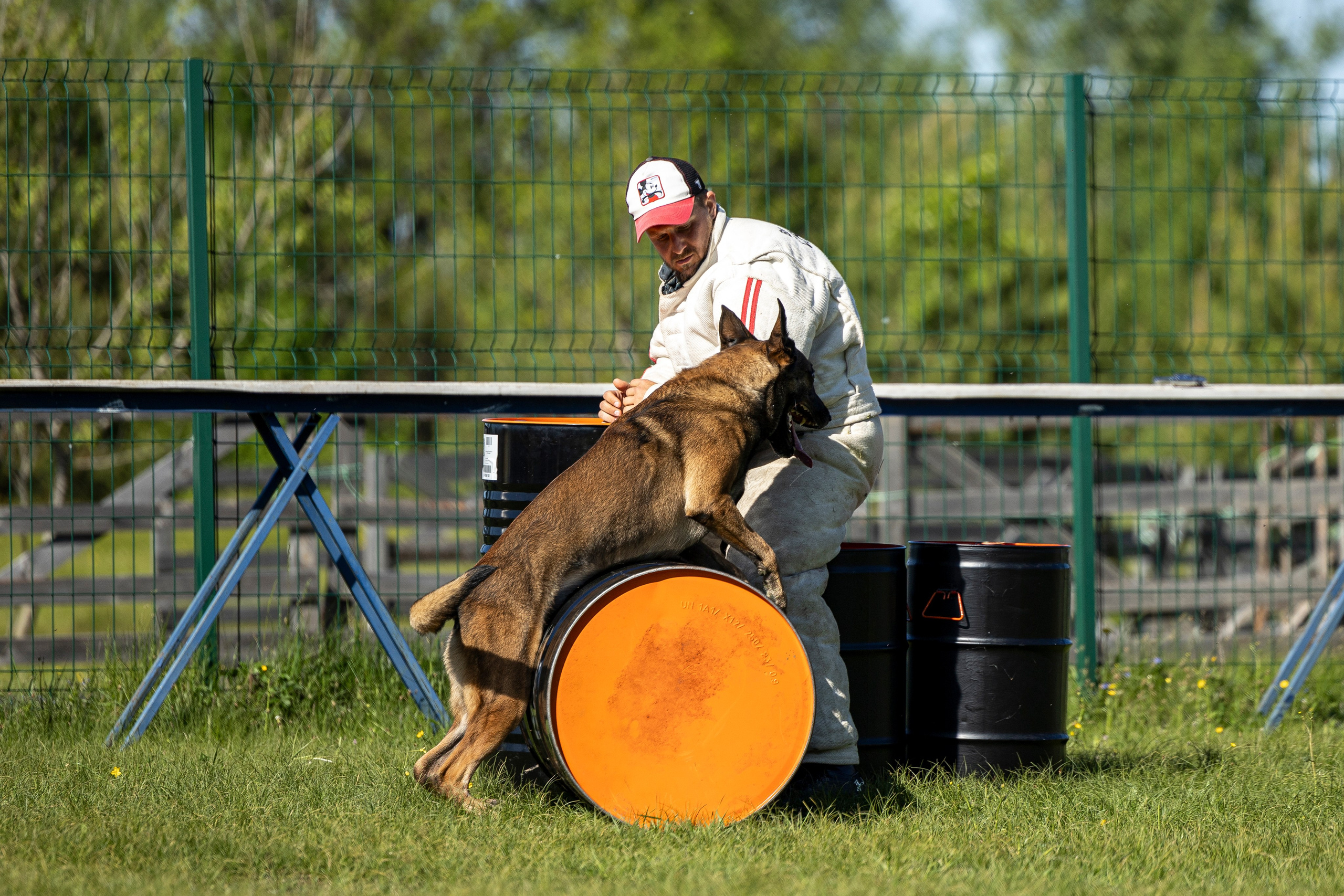 Испытания по мондьорингу в Нижнем Новгороде. Фотограф-анималист Анна Маринич