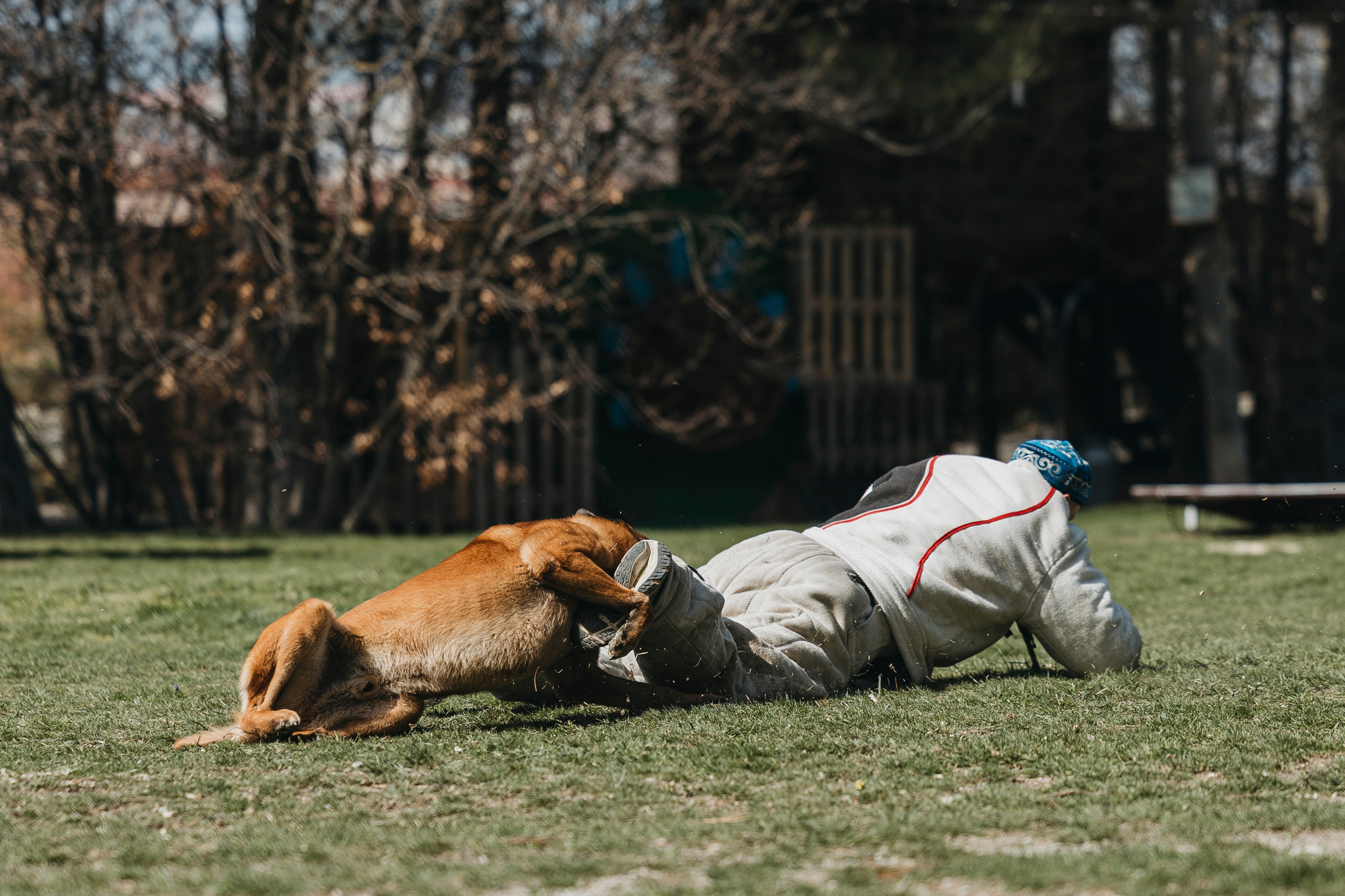 Геленджик Мондьоринг. Фотограф-анималист Анна Маринич
