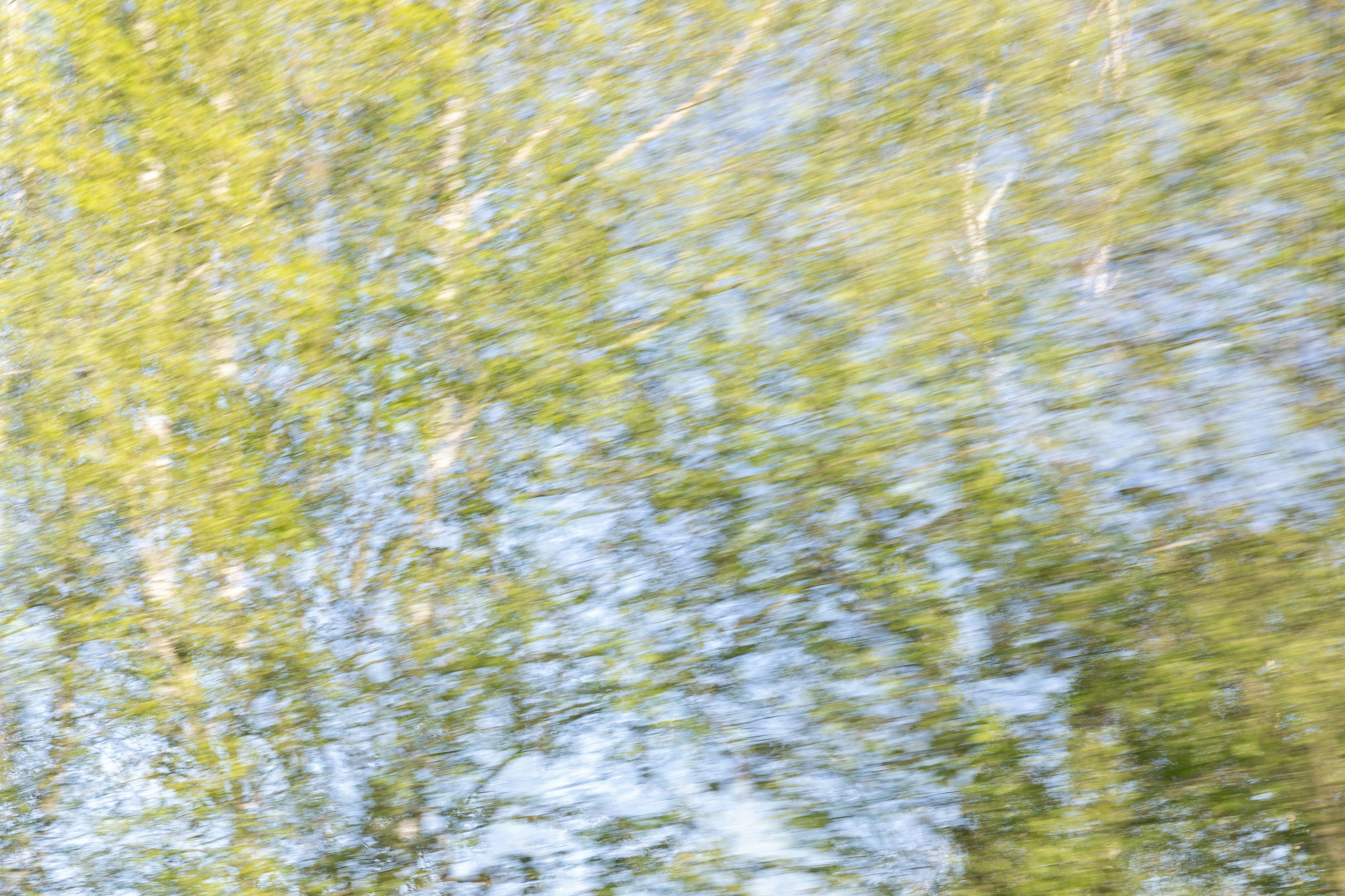 Art prints. Фотограф алина стерхова, алина стерхова фотограф, фотограф москва